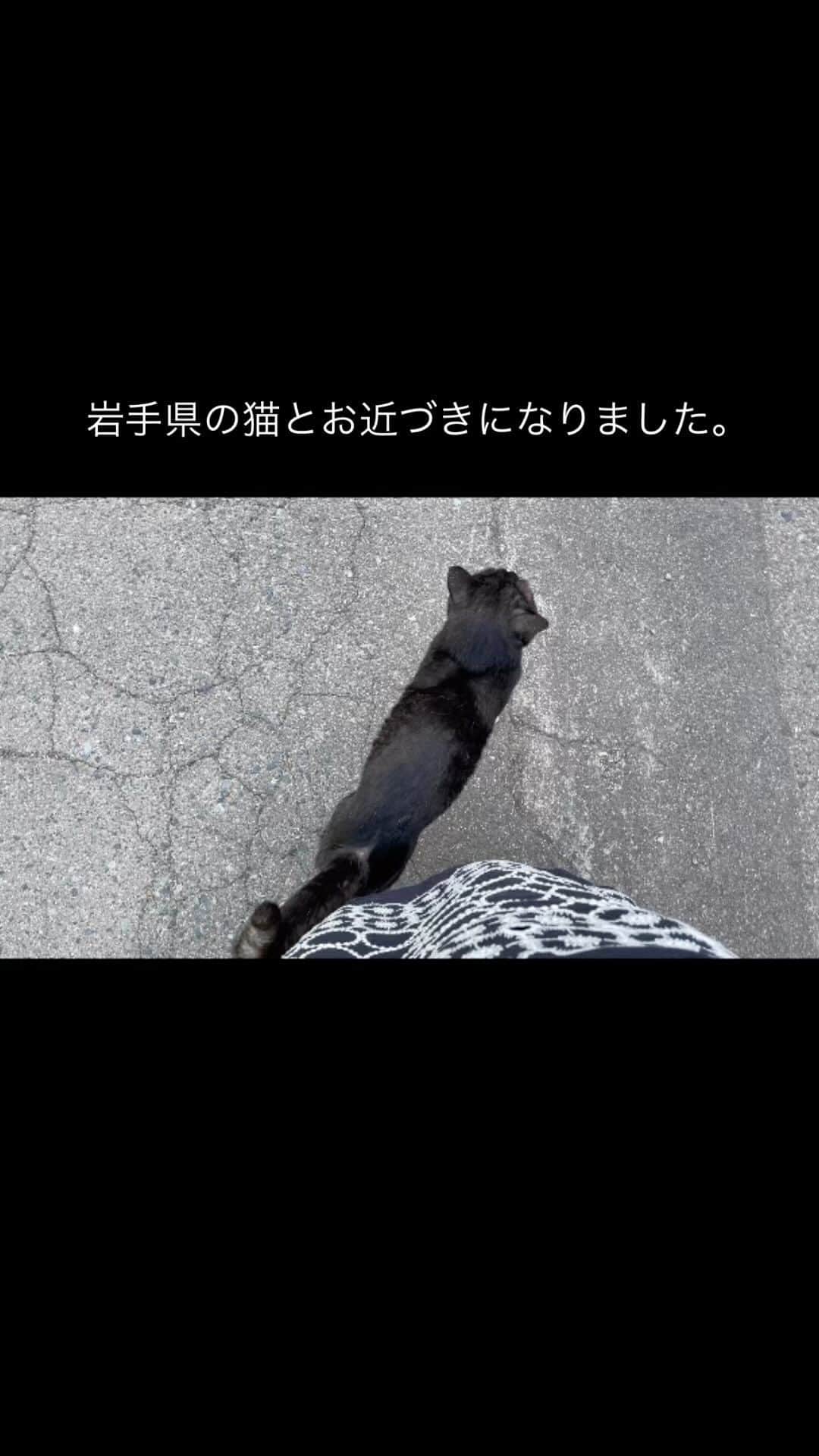 甲斐みのりのインスタグラム