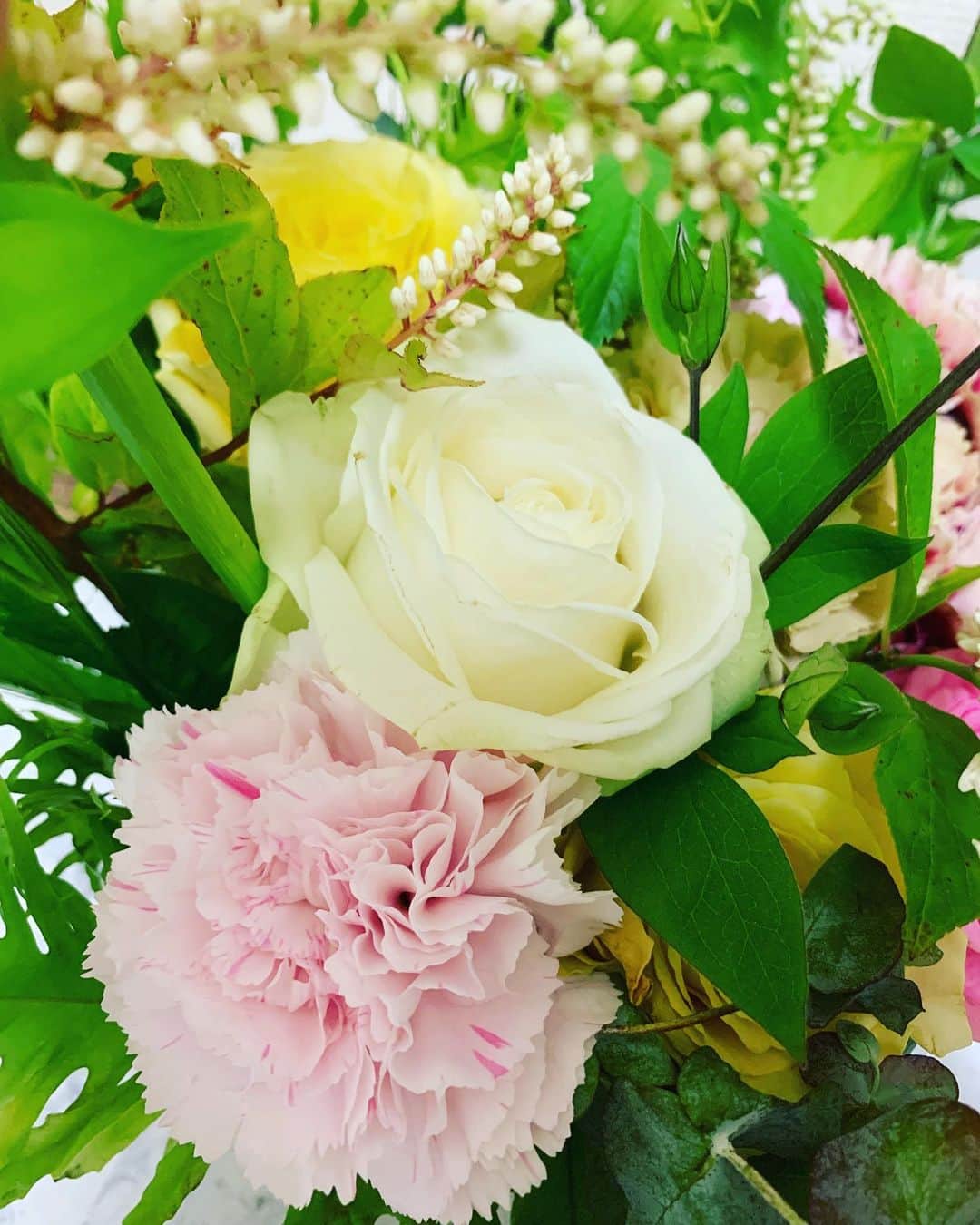 七瀬遥さんのインスタグラム写真 - (七瀬遥Instagram)「おはようございます💐  今日は結構な雨ですね☔️☔️☔️  お気をつけて😌🌹🌸🌼  #6月#雨#お花#癒し#happy #beautiful#flower #day#life#smile#fun#love#good#friend#family#happiness#good#tokyo#japan」6月2日 9時02分 - haruka_mh