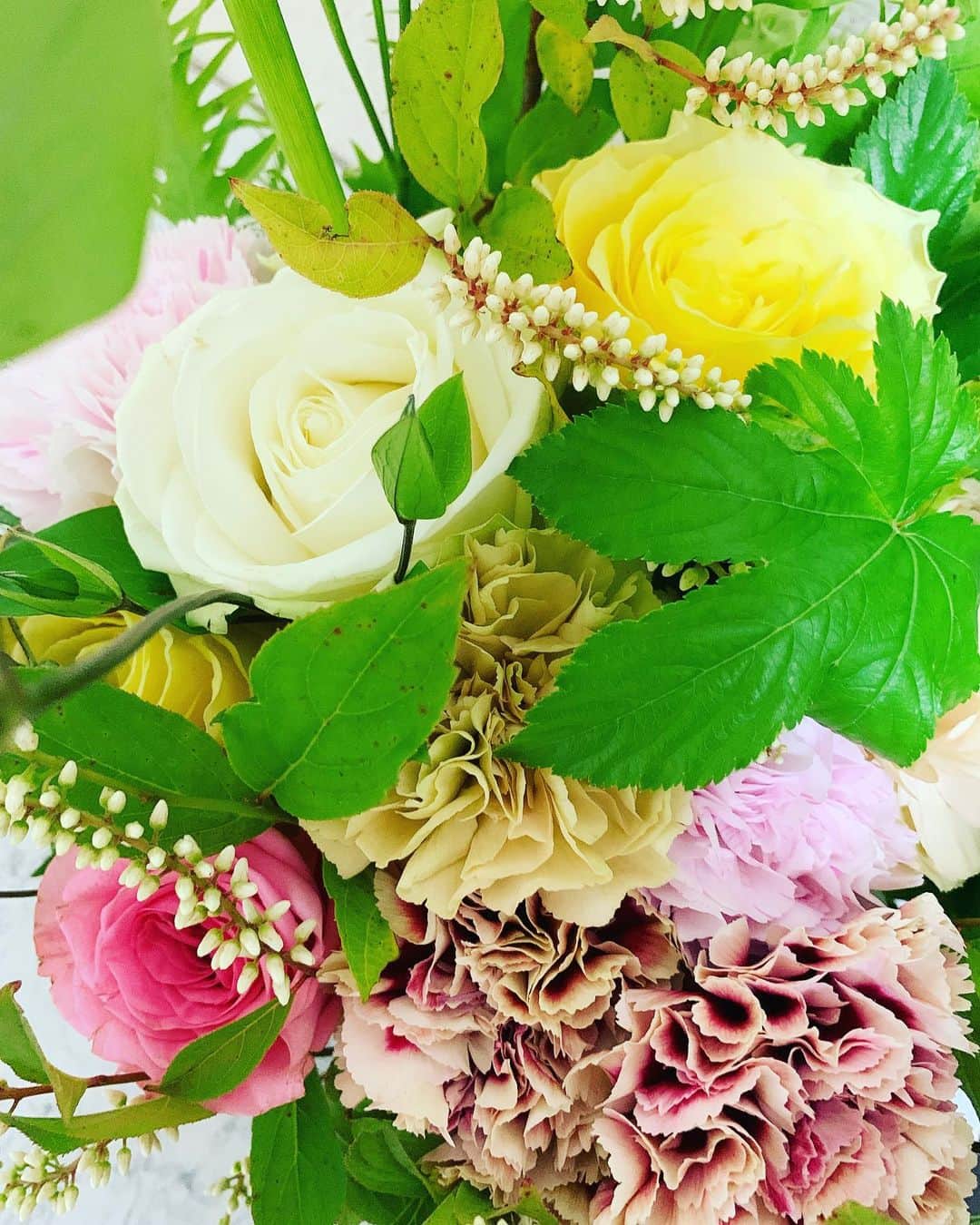 七瀬遥のインスタグラム：「おはようございます💐  今日は結構な雨ですね☔️☔️☔️  お気をつけて😌🌹🌸🌼  #6月#雨#お花#癒し#happy #beautiful#flower #day#life#smile#fun#love#good#friend#family#happiness#good#tokyo#japan」