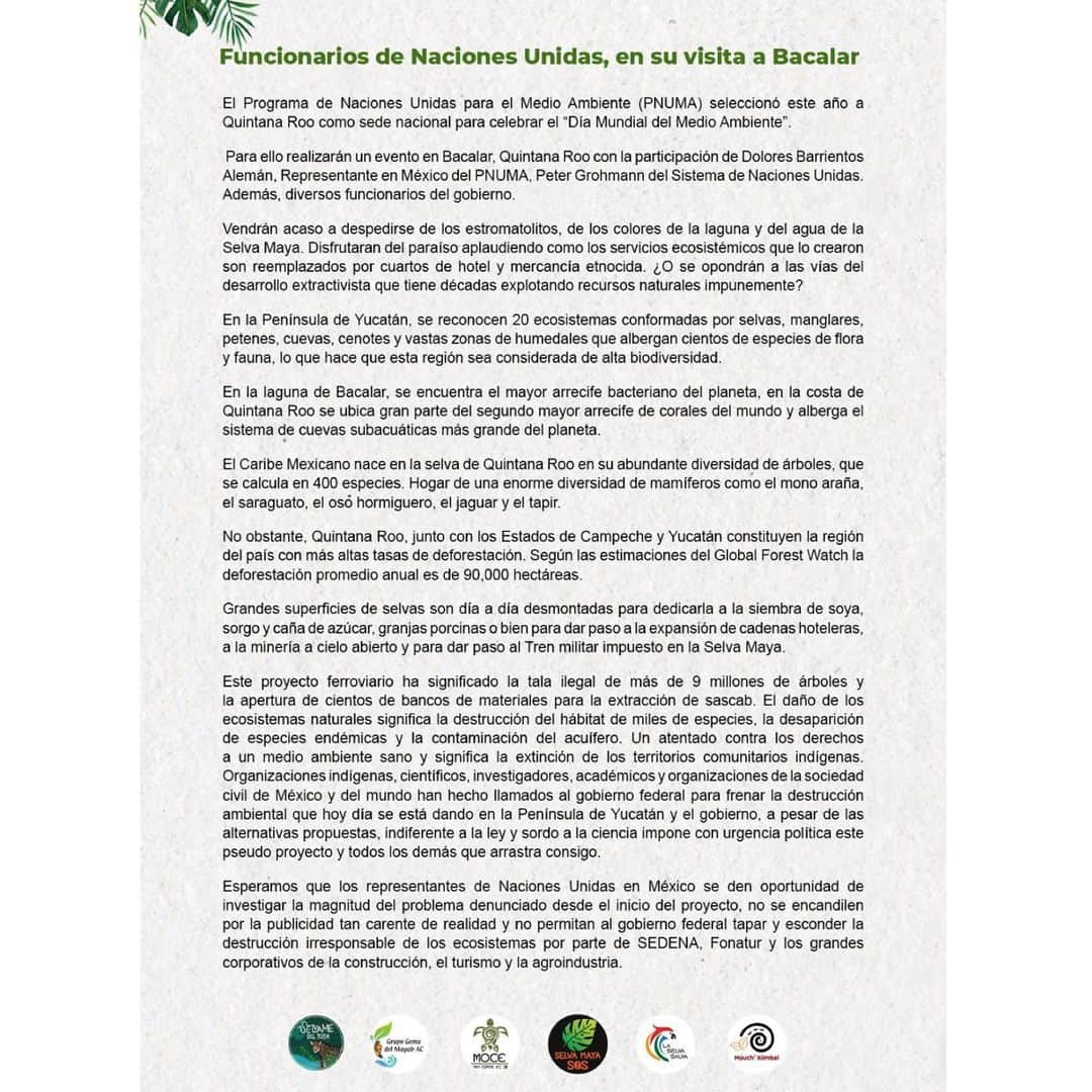 ナタリア・コルドバ・バックリーのインスタグラム：「🛑Funcionarios de Naciones Unidas, en su visita a Bacalar El Programa de Naciones Unidas para el Medio Ambiente (PNUMA) seleccionó este año a Quintana Roo como sede nacional para celebrar el "Día Mundial del Medio Ambiente".🛑 Reciban esta invitación… @unep @unep_es   @selvame.mx @selvamayasos @soscenotes @laselvasalva @moceyaxcuxtal @muuchxiinbal」