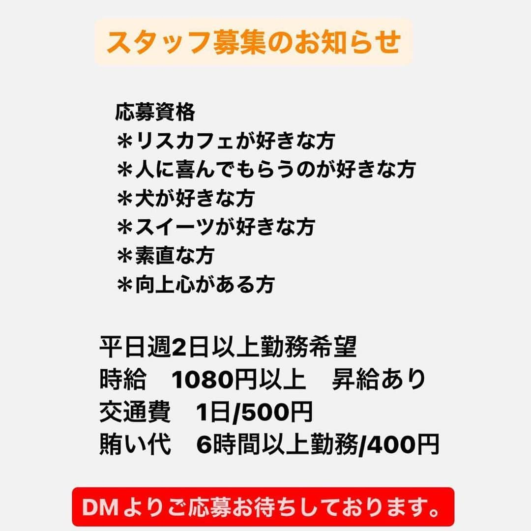 リスカフェのインスタグラム：「スタッフ募集のお知らせ  リスカフェでは現在スタッフを募集しております。  主婦、学生、ダブルワーク、フリーター、パティシエ  経験者を優遇しますが、未経験者でもサポートさせていただきます。  仕事内容 ＊ホール、洗い物、レジ会計、掃除、お菓子の仕込み、仕上げなど カフェで行う業務全般をお願いしております。  勤務時間　 9:30-17:00 6時間以上30分休憩  週2日以上の勤務をお願いしております。応相談  時給　1080円より　昇給あり 交通費　500円/1日 賄い代　400円/1日  店内には看板犬がいます。 犬が好きな方ですと嬉しいです。  #スタッフ募集　#アルバイト募集 #フリーター #パティシエ #パティシエール #主婦 #パート主婦 #高田馬場グルメ #高田馬場 #山手線 #新宿 #大久保 #新大久保」