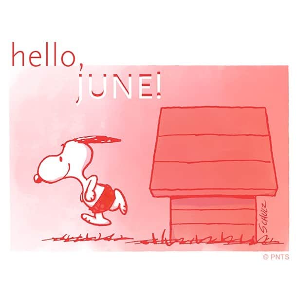 スヌーピーのインスタグラム：「Hello, June!」