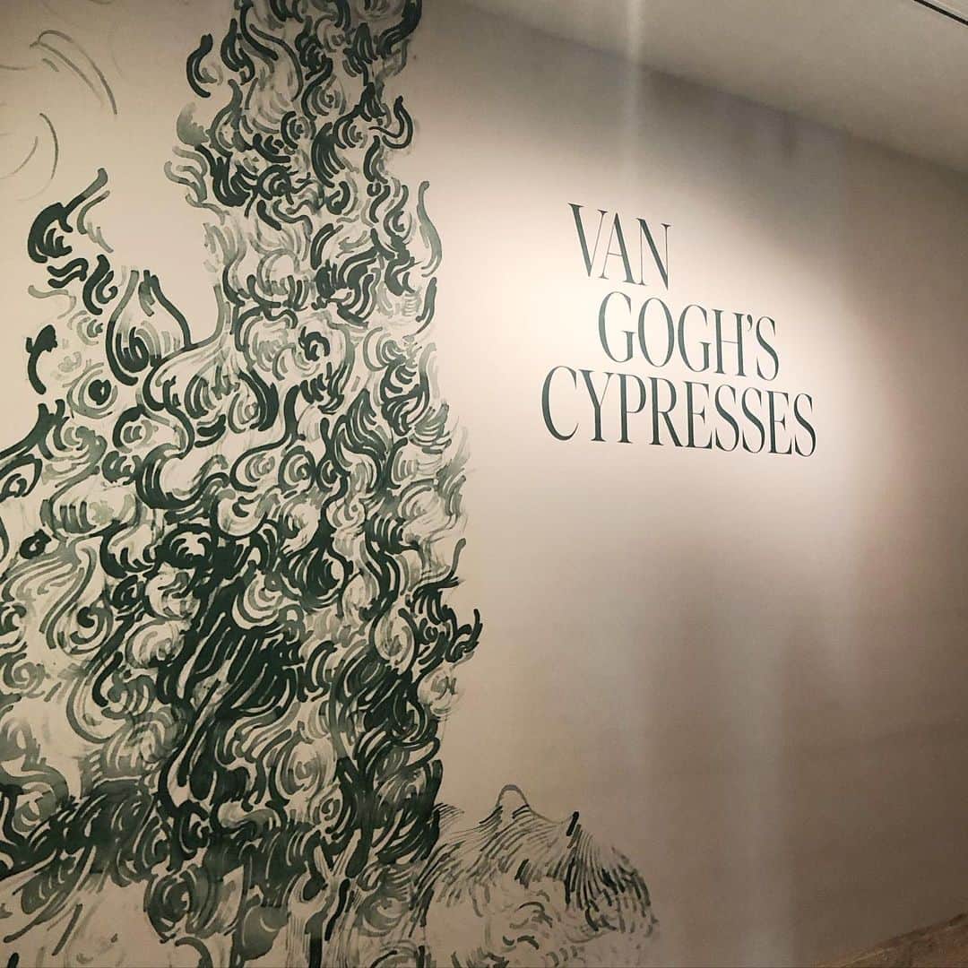 岡田育さんのインスタグラム写真 - (岡田育Instagram)「Van Gogh’s Cypresses @metmuseum #vangoghscypresses #cypresses #met  #landscapeunderturbulentskies #thestarrynight  #ゴッホの糸杉 #星月夜」6月2日 2時22分 - okadaic