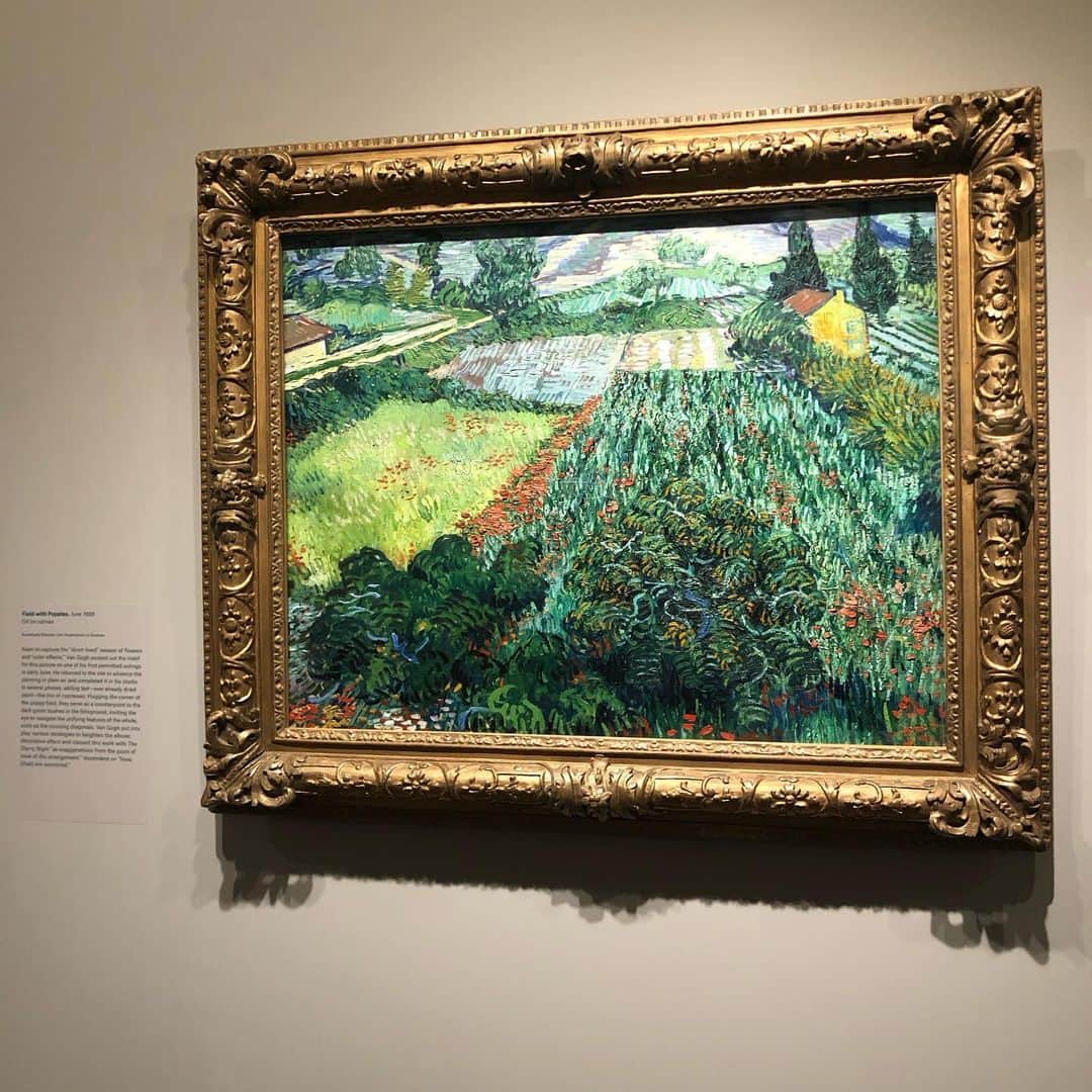 岡田育さんのインスタグラム写真 - (岡田育Instagram)「Van Gogh’s Cypresses @metmuseum #vangoghscypresses #cypresses #met  #landscapeunderturbulentskies #thestarrynight  #ゴッホの糸杉 #星月夜」6月2日 2時22分 - okadaic