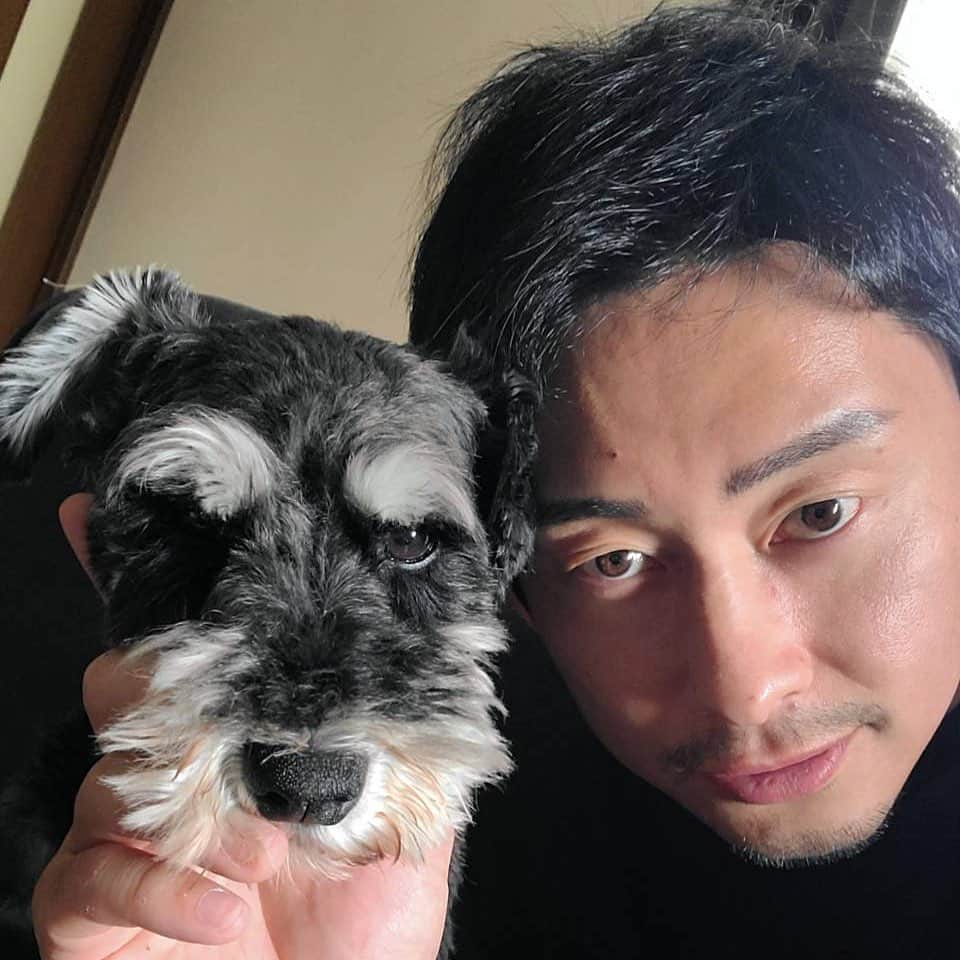 のインスタグラム：「雨だから散歩行けないな🐶」