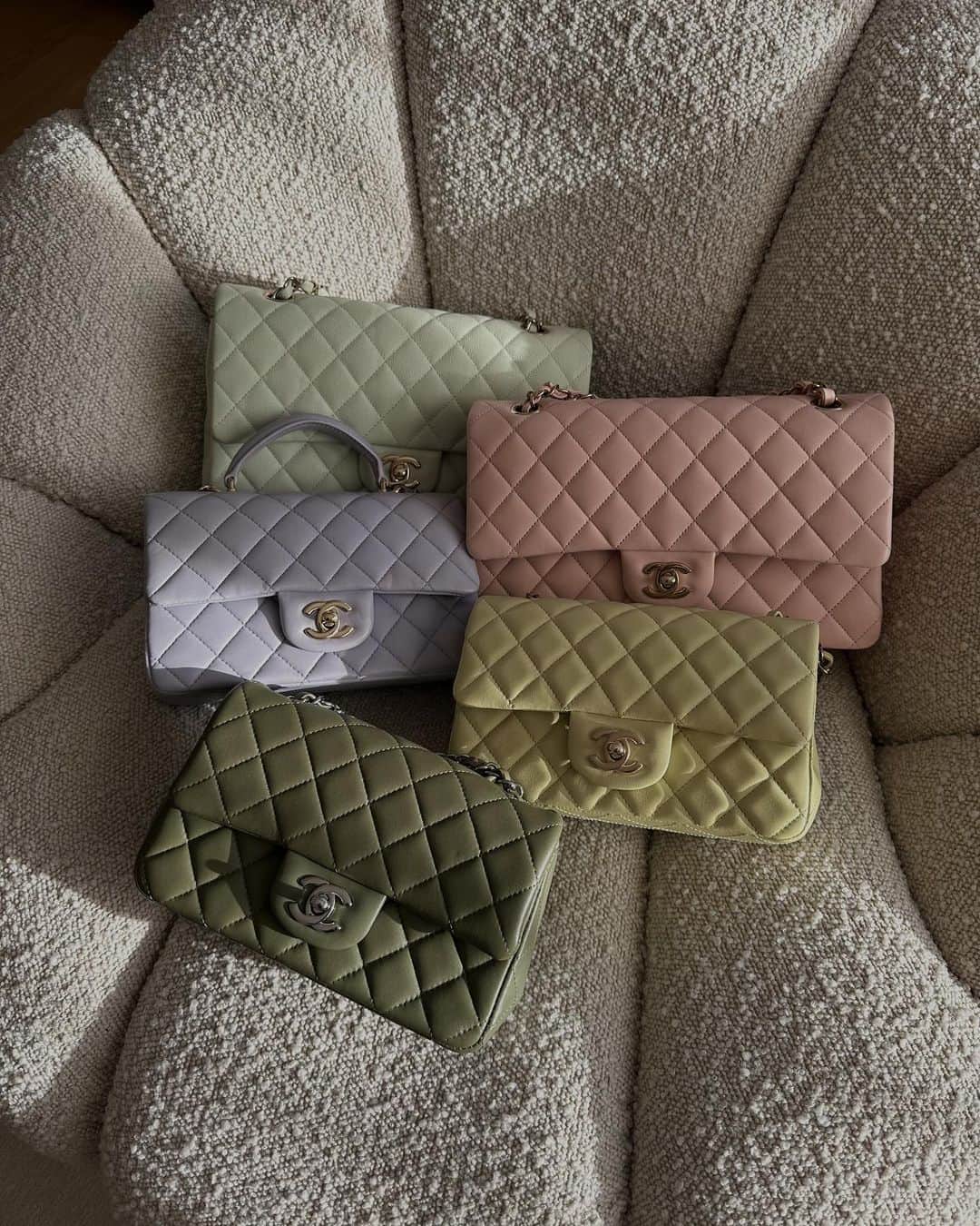Tamara Kalinicのインスタグラム：「Which colour would you choose?」