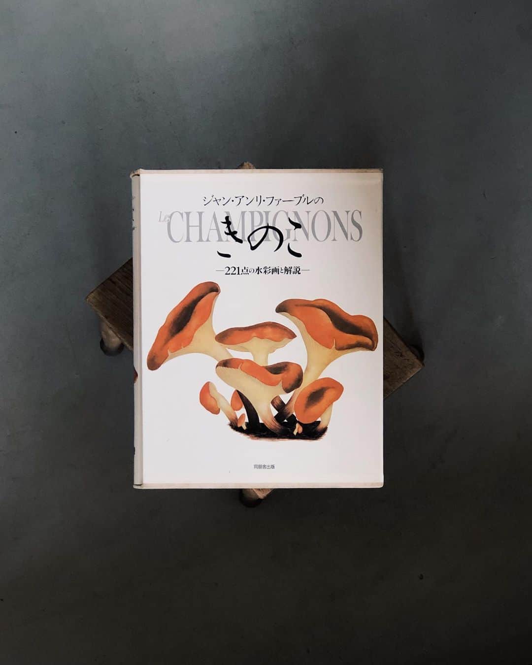 nostos booksのインスタグラム：「本日は『ジャン・アンリ・ファーブルのきのこ』、荒俣宏『フローラの神殿』、円空仏の写真集、『詩人・大岡信展』図録、『小泉八雲秘稿画本 妖魔詩話』など41冊を入荷しました。  オンラインストアへは商品タグをタップ◯ 　 入荷本からおすすめ10選  ----------  1冊目 『ジャン・アンリ・ファーブルのきのこ』 昆虫記でも知られるフランスの作家、博物学者／ジャン・アンリ・ファーブルのきのこ図鑑。221点に及ぶ美しい水彩画と解説を収録。   ----------  2冊目 『フローラの神殿』 イギリスの植物学者／ロバート・ジョン・ソーントンが制作したリンネ植物分類解説図集を、荒俣宏が編纂・解説。学術の域を超えたロマンティックで艶やかな花達が、鮮やかに紙面を輝かせる。装丁は鈴木一誌。  ----------  3冊目 『円空』 仏師・歌人の円空による木彫りの仏像作品集。全国各地に12万体が見つかったという円空仏のなかから114体を厳選して掲載。大胆な彫塑のなかに安らかな表情が浮かぶ、独特の仏像がずらりと並ぶ。著者エッセイでは円空仏との出会いから円空の生い立ちなどについて紹介。写真は後藤英夫、装丁は原弘。  ----------  4冊目 『小泉八雲秘稿画本 妖魔詩話 復刻版』 『怪談』などで知られる作家、小泉八雲（ラフカディオ・ハーン）の遺稿をまとめたもの。復刻版。小泉家に秘蔵されていた『ゴブリン・ポエトリー』の草稿ノートに解説を添えて収録している。本体表紙はクロス装、本文は越前鳥の子紙を四方耳つきのまま使用。500部限定発行。  ----------  5冊目 『A Mycological Foray』 アメリカ出身の音楽家、作曲家、詩人、思想家、キノコ研究家であるジョン・ケージの2冊組作品集。第1巻では、ケージの「不確定性の物語」やその他の著作が織り込まれ、ケージと菌類学の関係を考察するエッセイを収録。第2巻は、1972年にケージがイラストレーターのロイス・ロングと植物学者のアレクサンダー・H・スミスと共同で制作したポートフォリオ集となっている。  ----------  6冊目 『Nuba』 女優、映画監督、そして写真家として活躍したレニ・リーフェンシュタール。アフリカのヌバ族を被写体に、レニが10年間にわたり撮影し続けた写真作品を、石岡瑛子が構成。失われつつある文化をテキストと写真で記録した作品集。  ----------  7冊目 『詩人・大岡信展』 2015年に世田谷文学館で開催された「詩人・大岡信展」の図録。手書きのノートや詩稿、評論を多数収録するほか、加納光於、駒井哲郎、瀧口修造ら芸術家たちとの共作なども掲載。また大岡信について綴られたエッセイなども収録し、氏の人物像から仕事まで幅広く紹介。  ----------  8冊目 『骨から見る生物の進化』 パリ国立自然史博物館に所蔵されている脊椎動物の骨格標本を記録した写真集。数十億年の進化の痕跡が刻まれた骨の造形美を、シンプルかつエレガント、そして神秘的にアーカイブしている。 日本語普及版。   ----------  9冊目 『イメージの力 国立民族学博物館コレクションにさぐる』 2014年に国立新美術館・国立民族学博物館を巡回した「イメージの力 国立民族学博物館コレクションにさぐる」の展覧会図録。世界各国の伝統的な民芸品を通し、人・神・時間などに対するイメージの普遍性を博物館・美術館それぞれのアプローチで問う。  ----------  10冊目 『絵で読む宮沢賢治展 賢治と絵本原画の世界』 2007年から2008年にかけて開催された「絵で読む 絵で読む宮沢賢治展ー賢治と絵本原画の世界」の図録。「雨ニモマケズ手帳」や、賢治の書簡、直筆水彩画などにより氏の人生を紹介。さらに賢治作品に添えられた挿絵原画や、氏の作品に触発されて描かれた絵画作品などをもとに、宮沢賢治の絵本原画の世界を紹介していく。  ----------------------  店舗情報はこちら @nostosbooks  ----------------------  オンラインストアは毎日19時更新○  ----------------------  #nostosbooks #ノストスブックス #祖師ヶ谷大蔵 #砧」