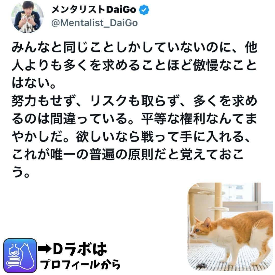 メンタリストDaiGoさんのインスタグラム写真 - (メンタリストDaiGoInstagram)「🐈本日の名言📚 プロフィールからDラボもみてね   #心理学 #メンタリスト #dラボ  #dラボはプロフィールから」6月2日 8時00分 - mentalistdaigo