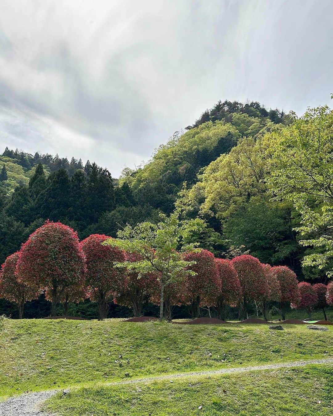 都築青空さんのインスタグラム写真 - (都築青空Instagram)「室生山公園 芸術の森🌳  #子供とお出かけ #室生山上公園芸術の森  #芸術の森 #奈良観光 #奈良旅行」5月9日 15時51分 - aozora723