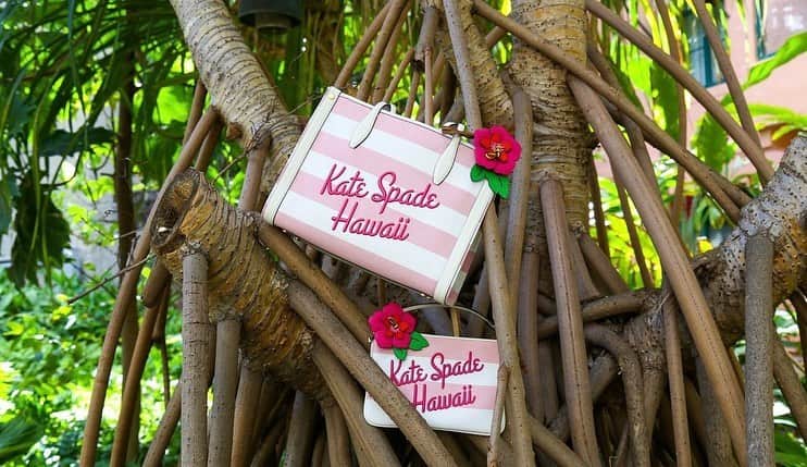 ロイヤル・ハワイアン・センターさんのインスタグラム写真 - (ロイヤル・ハワイアン・センターInstagram)「ケイト・スペードからの限定ギフト✨グリーン、またはピンクのハワイ限定アイテムを手に入れよう💖B館 1 階にあるケイト・スペードに是非お越しください！  #katespade #ケイトスペード #ショッピング #ハワイショッピング #ハワイ旅行 #ハワイへ行きたい #ハワイ好き #ワイキキ」5月9日 15時53分 - royalhwnctrjp