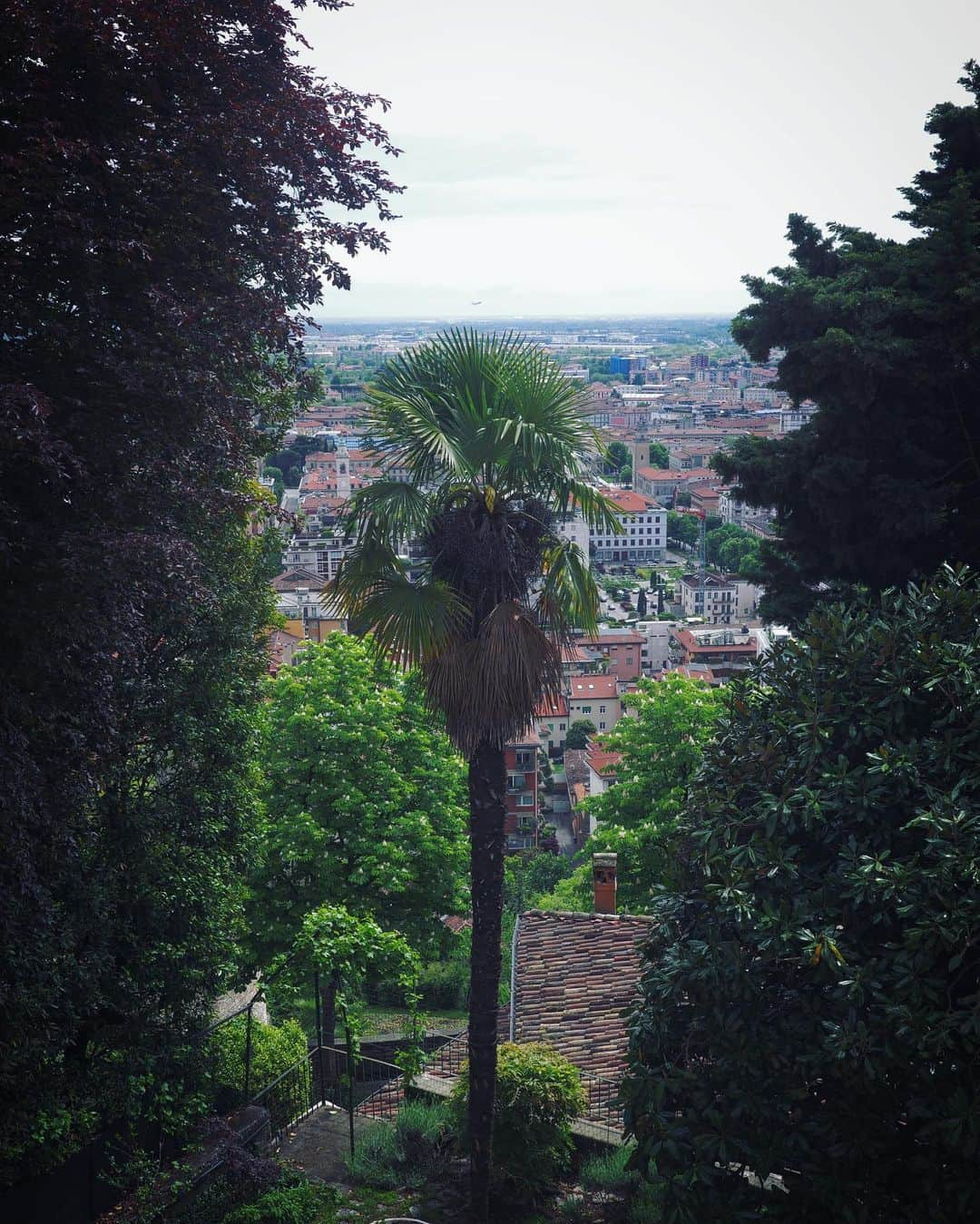 石川直樹さんのインスタグラム写真 - (石川直樹Instagram)「#AlpiOrobie Fieldwork, Grazie#Bergamo. 毎日、山に通った撮影も今日で終わりです。旧市街のアパートの部屋からベルガモの街を眺めるのも、最後。 アカデミア・カッラーラ美術館だけでなく、フォッポロという山奥の村でも小さなサテライト展示をすることになりそうです。 ありがとう、ベルガモ。次は夏！ . ロバは、行きつけのカフェの近くにいつもいて、毎日顔を合わせていた…。 . #cittàalta」5月9日 15時54分 - straightree8848