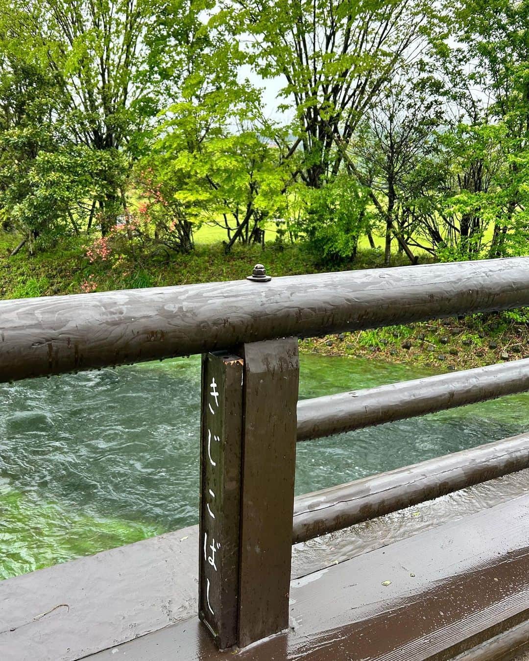 葉月里緒奈さんのインスタグラム写真 - (葉月里緒奈Instagram)「天気予報ではスタート時には晴れのはずが．．ずっと霧雨。 レインウェアを着たらキャディさんとお揃コーデになった。 #箱根#ゴルフ#箱根カントリー倶楽部 #ラウンド前に練習 #ストレッチも念入りに#雨でも楽しいゴルフ#rionahazuki」5月9日 8時11分 - riona_hazuki