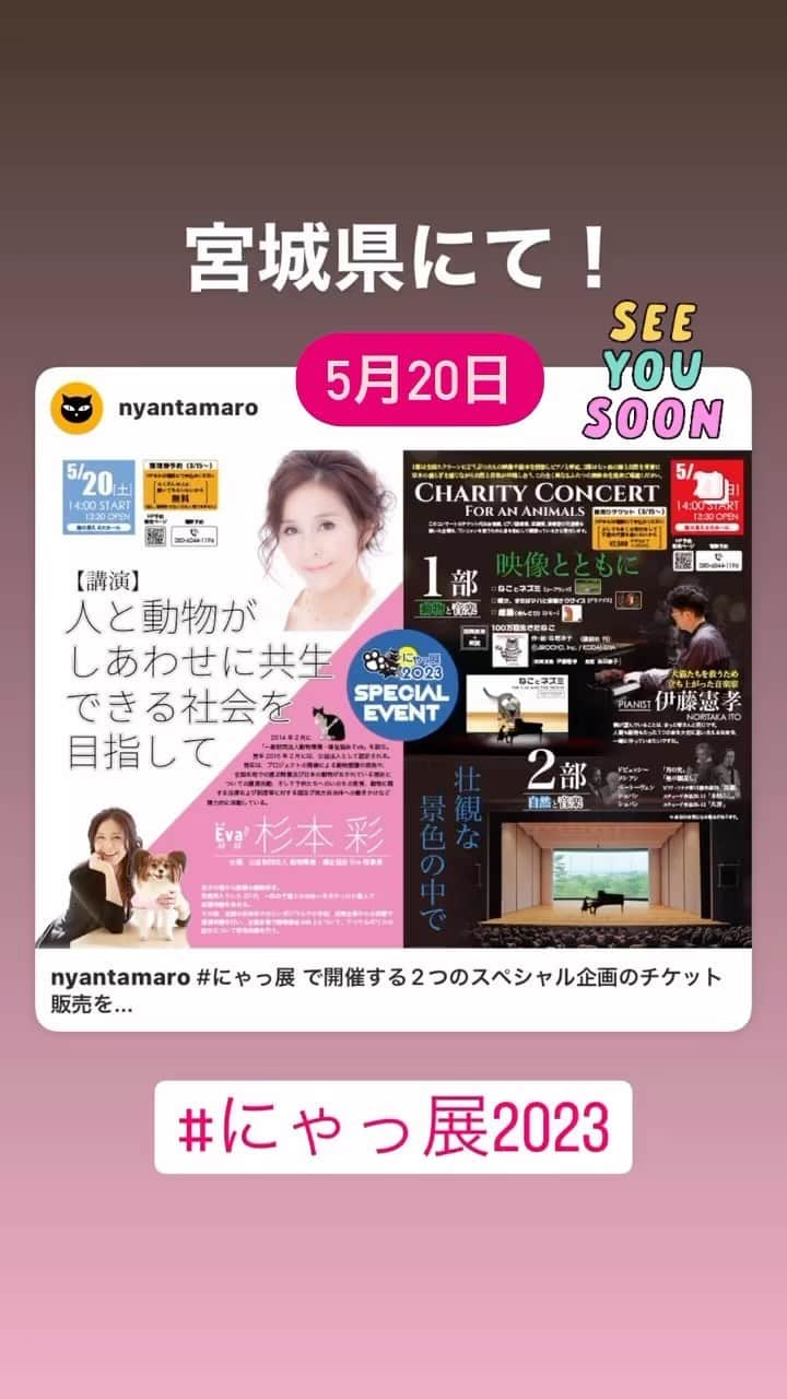 杉本彩のインスタグラム