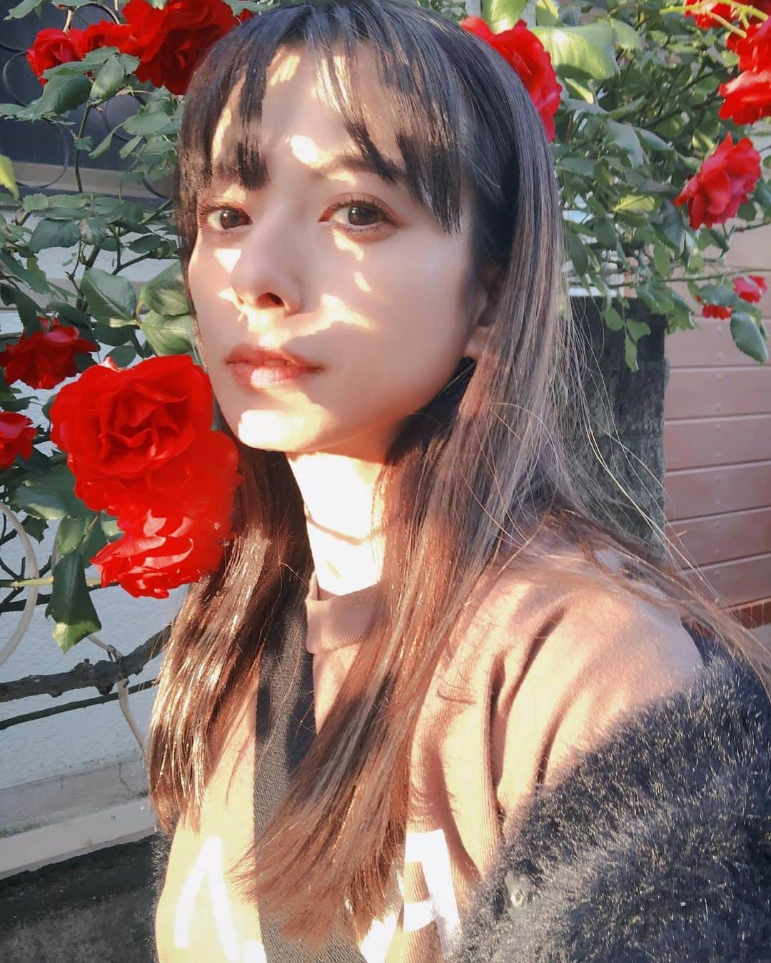 YUUKIのインスタグラム：「🌹 薔薇が綺麗な季節。 夏に向けて陽が長くなってくると それだけで…嬉しくなっちゃう季節😌✨  今日こそは…今回は絶対…今なら… 思っては何度も消えていった数ヶ月。 踏み出す準備はずっと完璧 あとはエイッと踏み出す一歩の勇気💪✨  夏が来る…その頃には 違う自分に会えてるはずだっ🐳🐚  #flowers #rose #selfie #photooftheday #photography #instagood #spring #summer #ootd #hair #makeup #薔薇 #花のある暮らし #ヘアスタイル #ヘアカラー #写真加工 #季節を楽しむ」