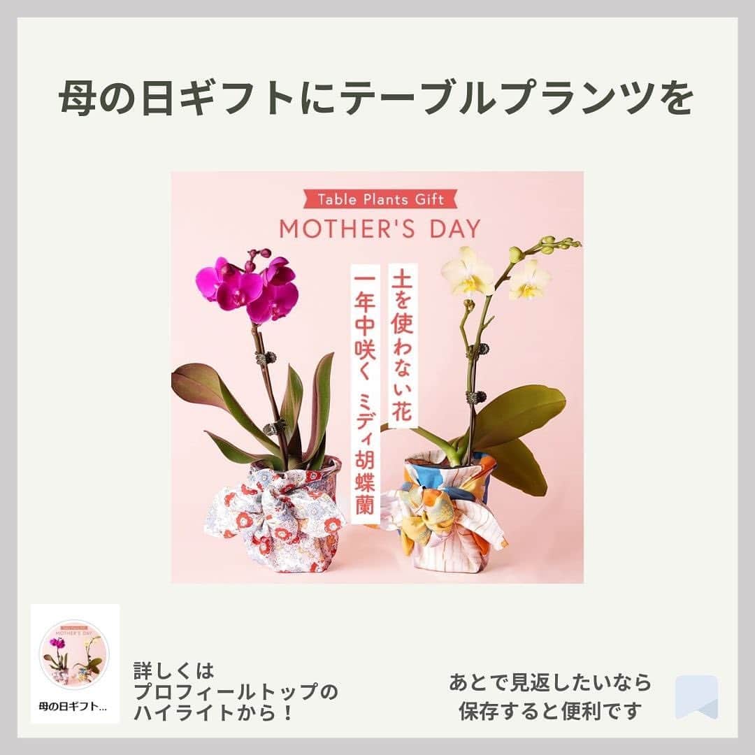 みどりで、つながる GreenSnapさんのインスタグラム写真 - (みどりで、つながる GreenSnapInstagram)「今週末は母の日🌹 母の日のプレゼントにおすすめの植物をご紹介！ 母の日にもおすすめのテーブルプランツミディ胡蝶蘭のご注文は、5/10(水)までです😃」5月9日 9時30分 - greensnap.jp