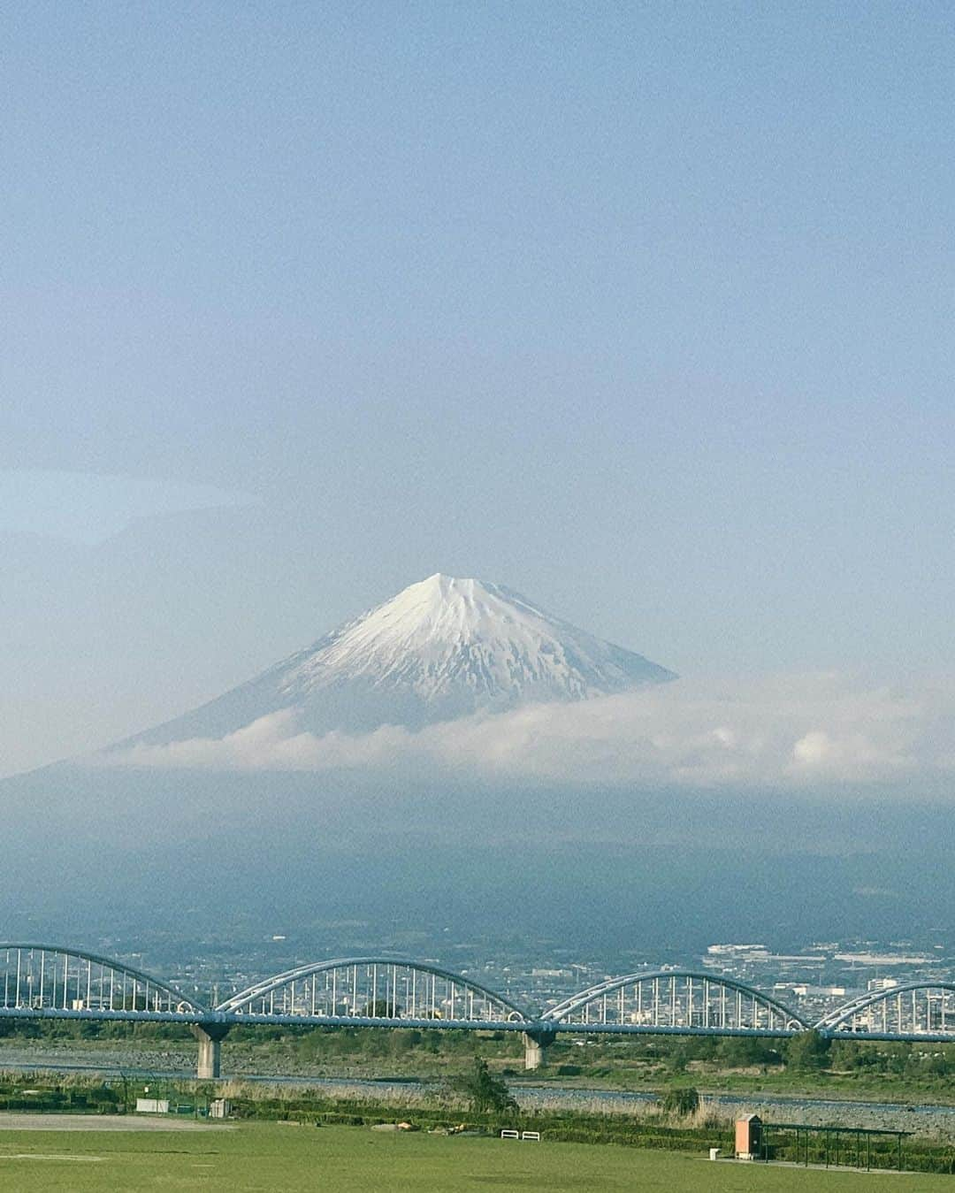 吉岡里帆さんのインスタグラム写真 - (吉岡里帆Instagram)「最近はどんな感じですか？ 私は今新しい作品に入っています！ 良い空気の現場です  苔育てるの難しい…  告知 ・ありえへん世界　9日 ・そこんトコロ　12日 ・アド街 13日 ・ドラマ「神の手」15日20時〜  #ドラマ #神の手 #5月15日」5月9日 10時46分 - riho_yoshioka