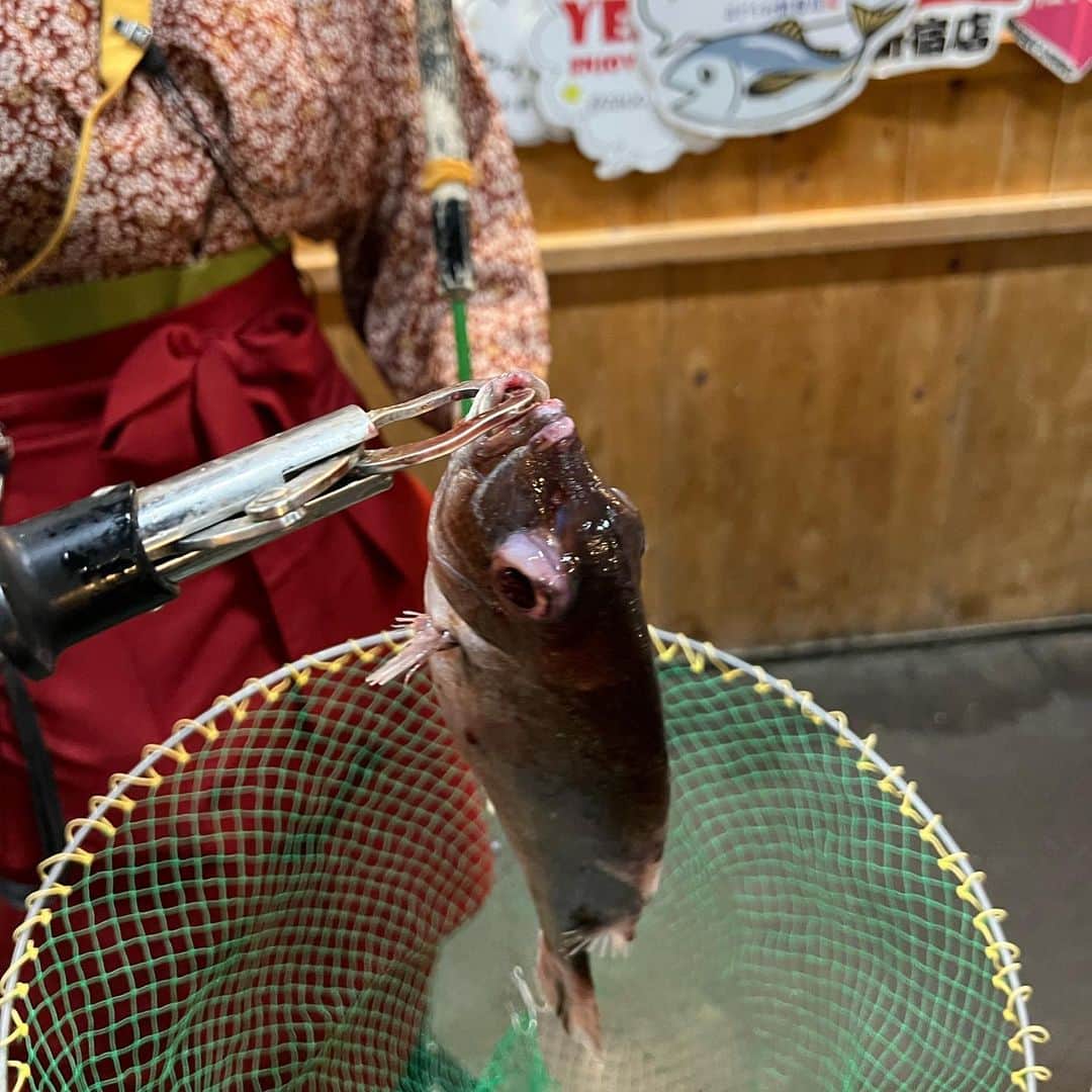 ライナ・ホワンさんのインスタグラム写真 - (ライナ・ホワンInstagram)「I’m so proud I caught my own fish 🐟 in Japan at the fishing boat restaurant in Shinjuku 😍   Thanks for taking me here @sugoimart   Watch my experience here —> https://youtu.be/52F4G6VIFdw」5月9日 11時12分 - rainaiscrazy