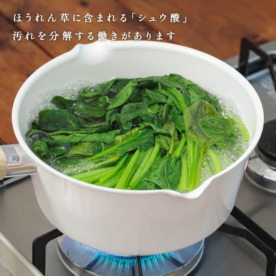 Frosch（フロッシュ）さんのインスタグラム写真 - (Frosch（フロッシュ）Instagram)「自然にも手肌にもやさしいフロッシュ®︎が、暮らしに役立つサステナブルなヒントをご紹介します🌱  -----------------------  おいしくて栄養満点の緑黄色野菜「ほうれん草」🥬  料理をする過程で、アクを抜くために一度湯がいてから使うことが多いのではないでしょうか？  実は、その茹で汁に含まれる「シュウ酸」は、汚れを分解する働きを持っているんです！  捨ててしまいがちな茹で汁の活用方法をご紹介します✨  手順は簡単。  やけどに気を付けながら茹で汁を温かいうちに排水口のぬめりや黒ずみが気になるところにかけ、歯ブラシなどのお掃除グッズでこするだけ。 ※茹で汁が熱過ぎると、排水口や排水パイプを痛める可能性がありますのでご注意ください。  汚れを分解する効果のあるシュウ酸は、木製品の漂白や床磨きにも活用できます✨ ぜひ、試してみてくださいね！  #ほうれん草 #茹で汁 #お掃除 #掃除 #排水口 #自然と心地よく #暮らしのヒント #暮らしの知恵 #地球にやさしい #サスティナブル #sustainable #エシカル #丁寧な暮らし #SDGs #エコ #eco #自然にやさしい #手肌にやさしい #食器用洗剤 #フロッシュのある暮らし #フロッシュ #Frosch #lifestyle #ライフスタイル」5月9日 12時00分 - frosch.jp