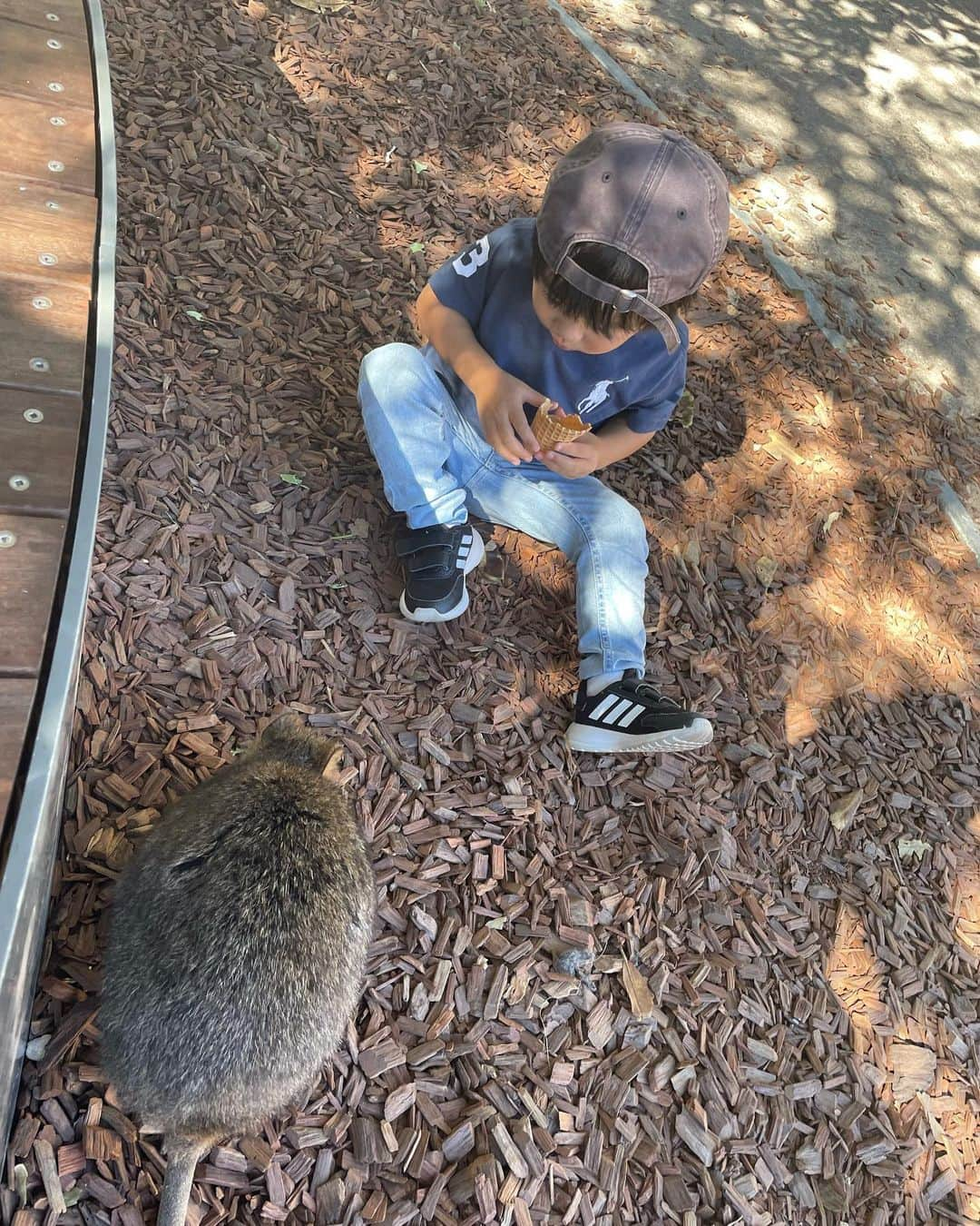 福間文香さんのインスタグラム写真 - (福間文香Instagram)「Rottnest Island!! 2021  懐かしい 青い空と青い海🏖 #Perth #2021 #throwbackmemories」5月9日 12時37分 - ayakafukuma