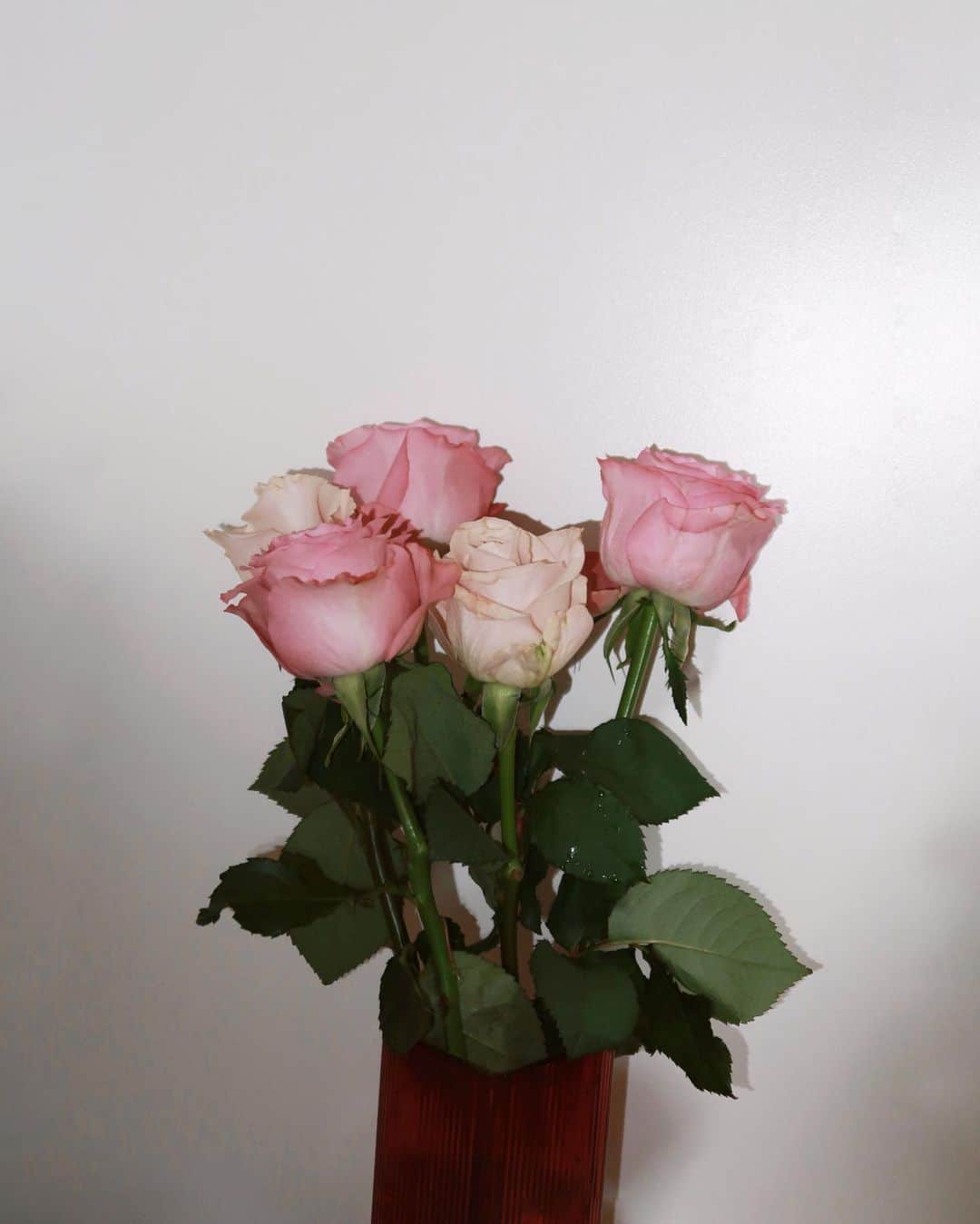カステロ・ミーアのインスタグラム：「5.7 My love @andrewjjkkkk give me the pink and white roses 🥀」