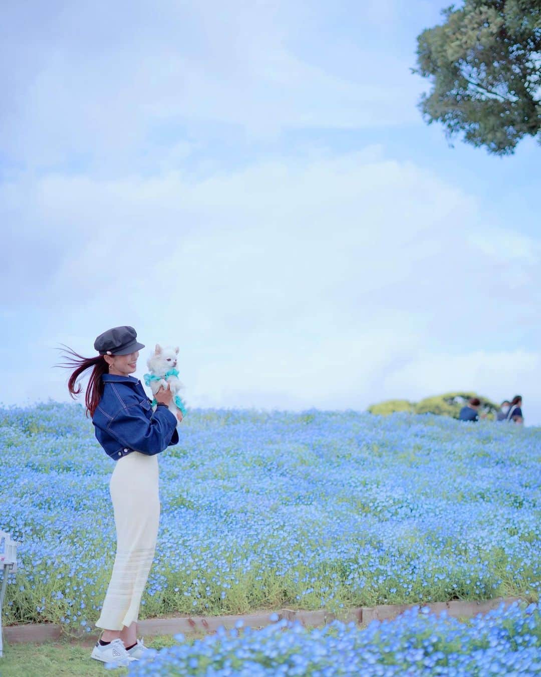 小早川怜子のインスタグラム：「青が好き💙」