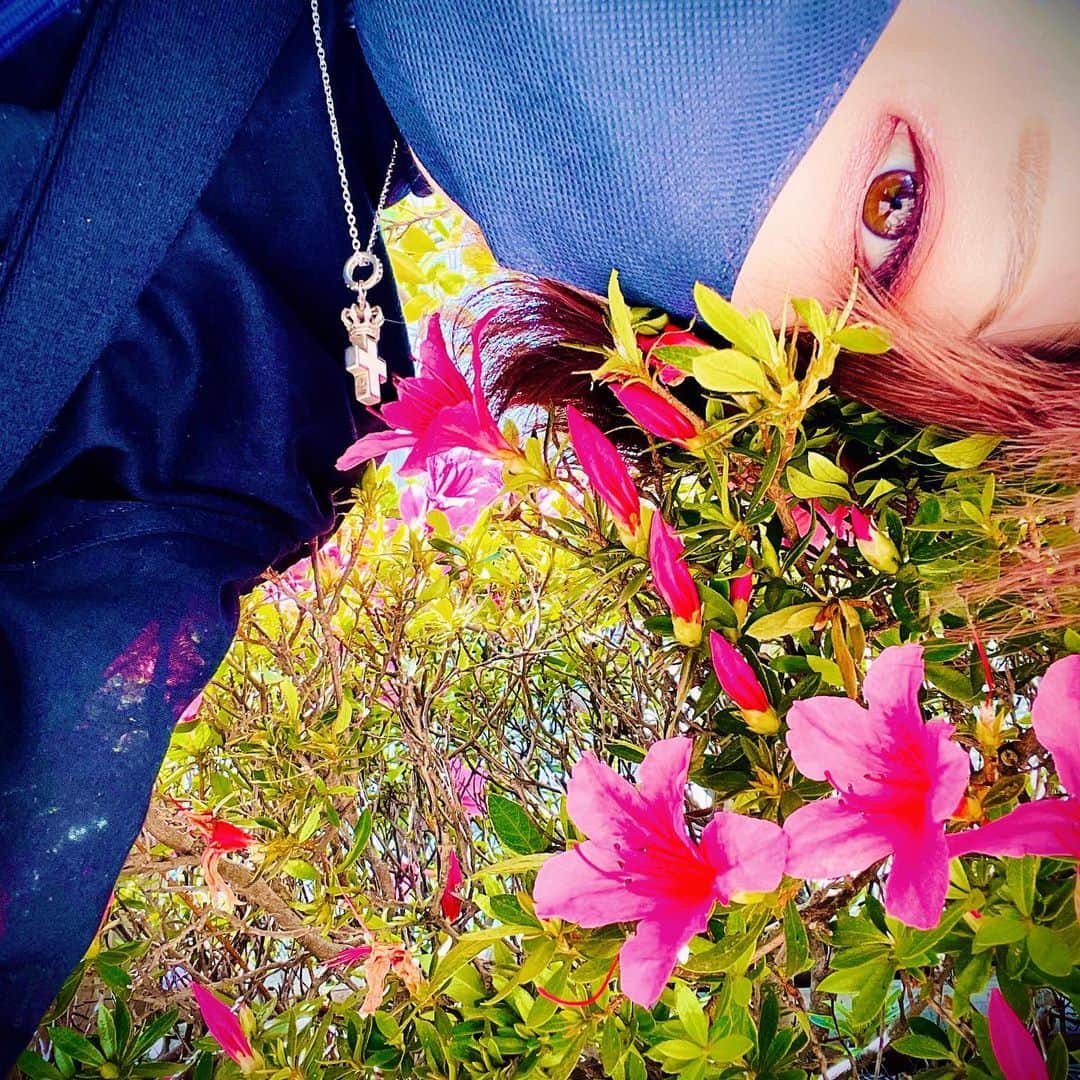 のインスタグラム：「Sometimes, we just need to see the world at a different angle to see the beauty.」