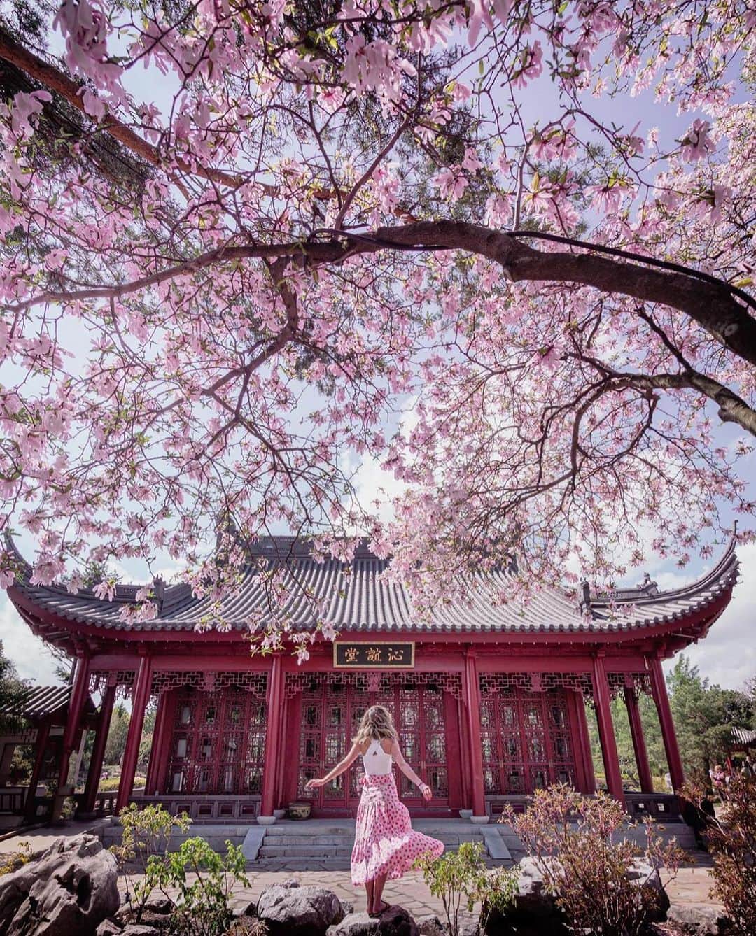 Explore Canadaのインスタグラム：「Daydreaming about spring days like this! 🌸  An oasis in the middle of the city for over 80 years, the Montréal Botanical Garden (@espacepourlavie) is recognized as one of the largest and most beautiful in the world.  🔗 See what’s in bloom at the garden in the calendar linked in our bio.  📷: @ericbranover 📍: @espacepourlavie, @montreal, @tourismequebec  #JardinBotanique #MTLMoments #BonjourQuebec  [Image description: A person with long blond hair and a flowy skirt stands in front of a red pavilion. A large magnolia tree full of pink blossoms is above them.]」