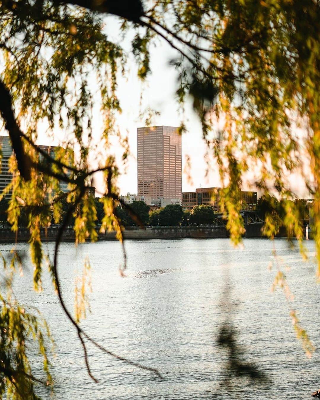 Portlandのインスタグラム：「Anyone see the weather for this weekend? 👀 How are you planning on beating the heat?? ☀️  📸 @and_rew_and_you   #Portland #pnw #oregon #portlandoregon #pacificnorthwest #travelportland #pdx」