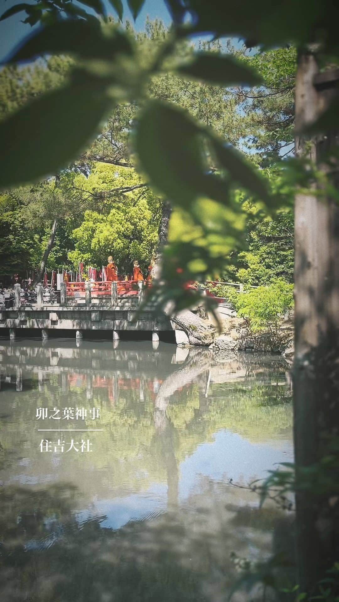 住吉大社 | sumiyoshitaishaのインスタグラム：「#住吉大社 #神社 #日本 #sumiyoshitaisha #osaka #japantrip #osakatrip #shrine #japan #大阪 #大阪観光 #卯の花 #卯之葉神事 #舞楽」