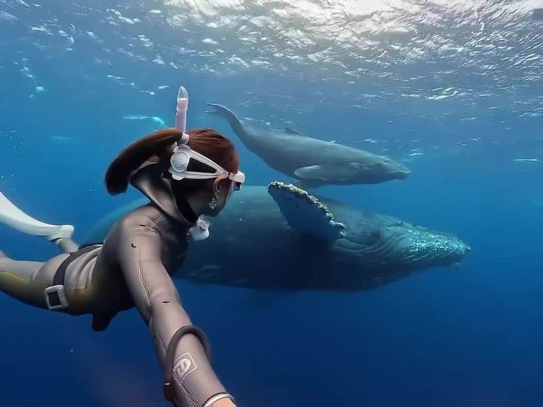 GoProのインスタグラム