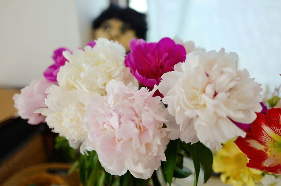坂本美雨さんのインスタグラム写真 - (坂本美雨Instagram)「大好きな花に囲まれ、一年分の芍薬を味わい、幸せ。。 要一郎さん、ダッフォのひろき、川島さん、ディアフレンズチーム、うみちゃん。 本当にありがとう💖」5月9日 18時43分 - miu_sakamoto