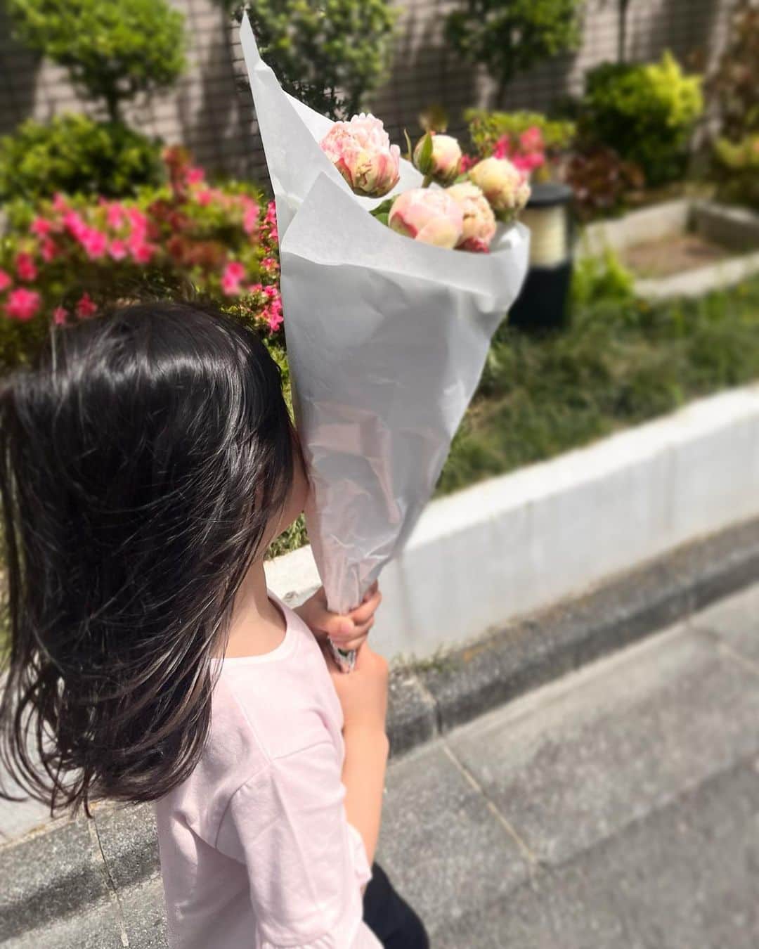 八木麻紗子さんのインスタグラム写真 - (八木麻紗子Instagram)「. シャクヤクの季節。  丸いつぼみがうつくしい。 重なった花弁が開いていく様子も。  #シャクヤク #芍薬 #peony  #子どもたちが色を選んでくれました」5月9日 18時59分 - yagi_masako