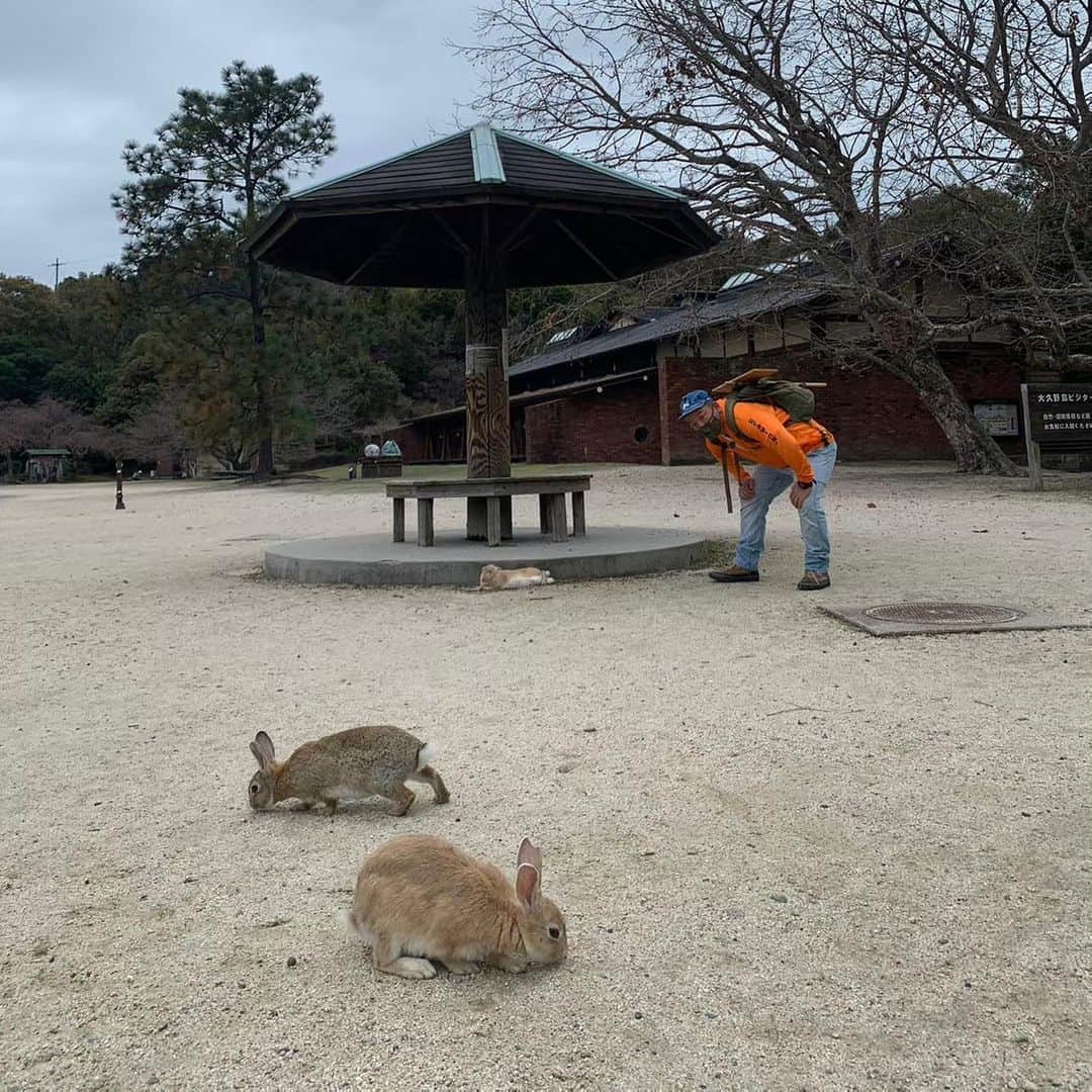 西村瑞樹（西村キャンプ場）さんのインスタグラム写真 - (西村瑞樹（西村キャンプ場）Instagram)「うさぎ×おじさん🐰💕  今週13日(土)の『#西村キャンプ場』は、 “ハラハラ”キャンプ旅最終章！  この旅最後のキャンプ地は、 うさぎの島・大久野島🐰  幼い頃に大久野島でキャンプをしたという西村さん、 約３５年ぶりに島に上陸！ するとさっそく、うさぎからの歓迎が…？   うさぎの島ではしゃぐ西村さん、お楽しみに🐇  🌳🌳🌳🌳🌳🌳🌳🌳🌳  TVerで期間限定配信中！  ラインナップはこちら👇 🏕広島駅〜宮島編 🏕小峠さん登場！国道375号線キャンプ旅 🏕広島のスター奥田民生が来たぞ〜SP  🌳🌳🌳🌳🌳🌳🌳🌳🌳  #バイきんぐ #バイきんぐ西村 #camp西村 #camp #camping #outdoor #広島 #広島旅行 #うさぎ #大久野島 #うさぎ島 #三原 #キャンプ #キャンプだホイ #TVer #小峠英二 #奥田民生 #OT」5月9日 19時07分 - tss_nishimuracamp