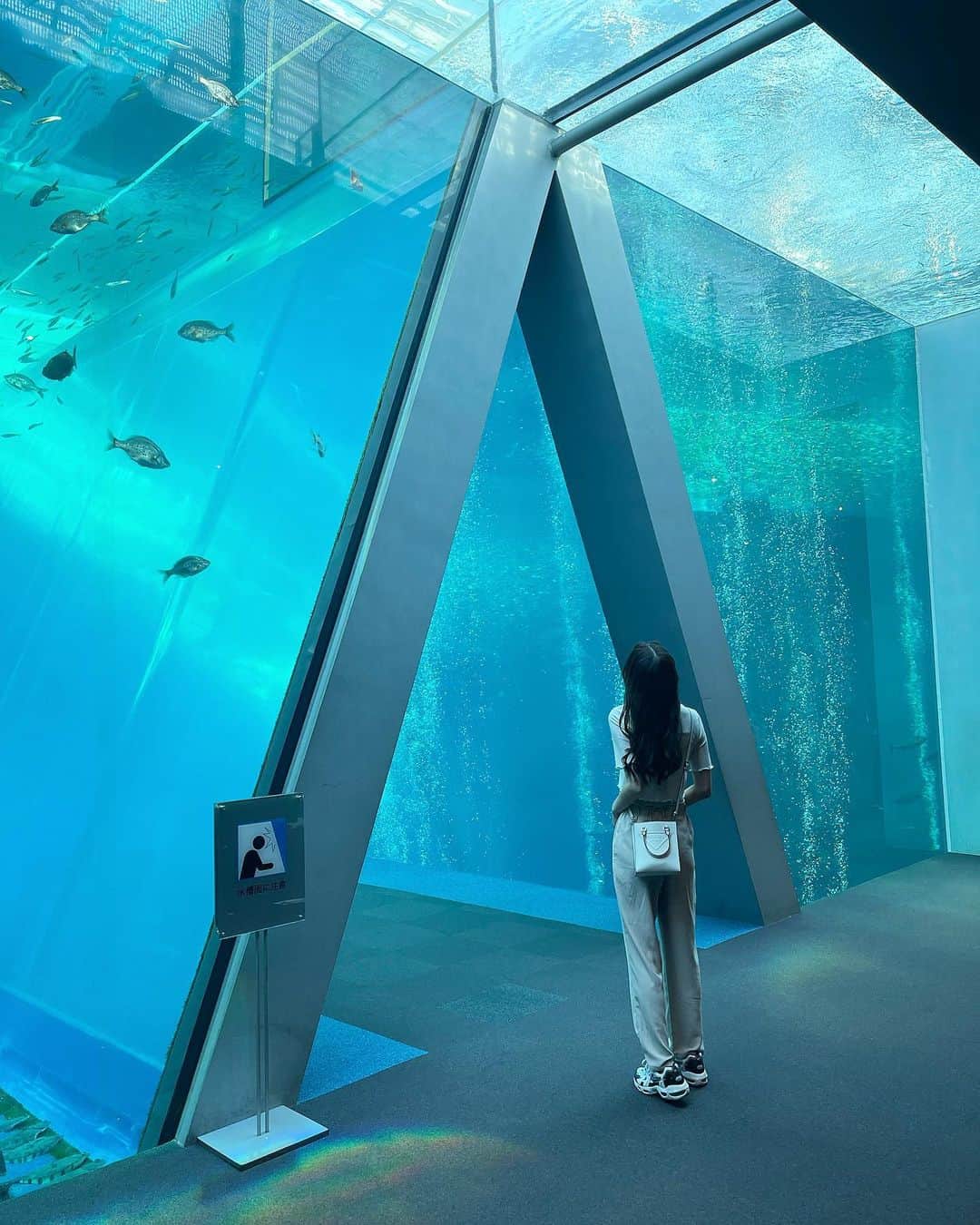 瀬名ひなののインスタグラム：「🐟  #水族館 #アクアマリンふくしま   一番テンション上がったの水槽の清掃の人見た時😂」