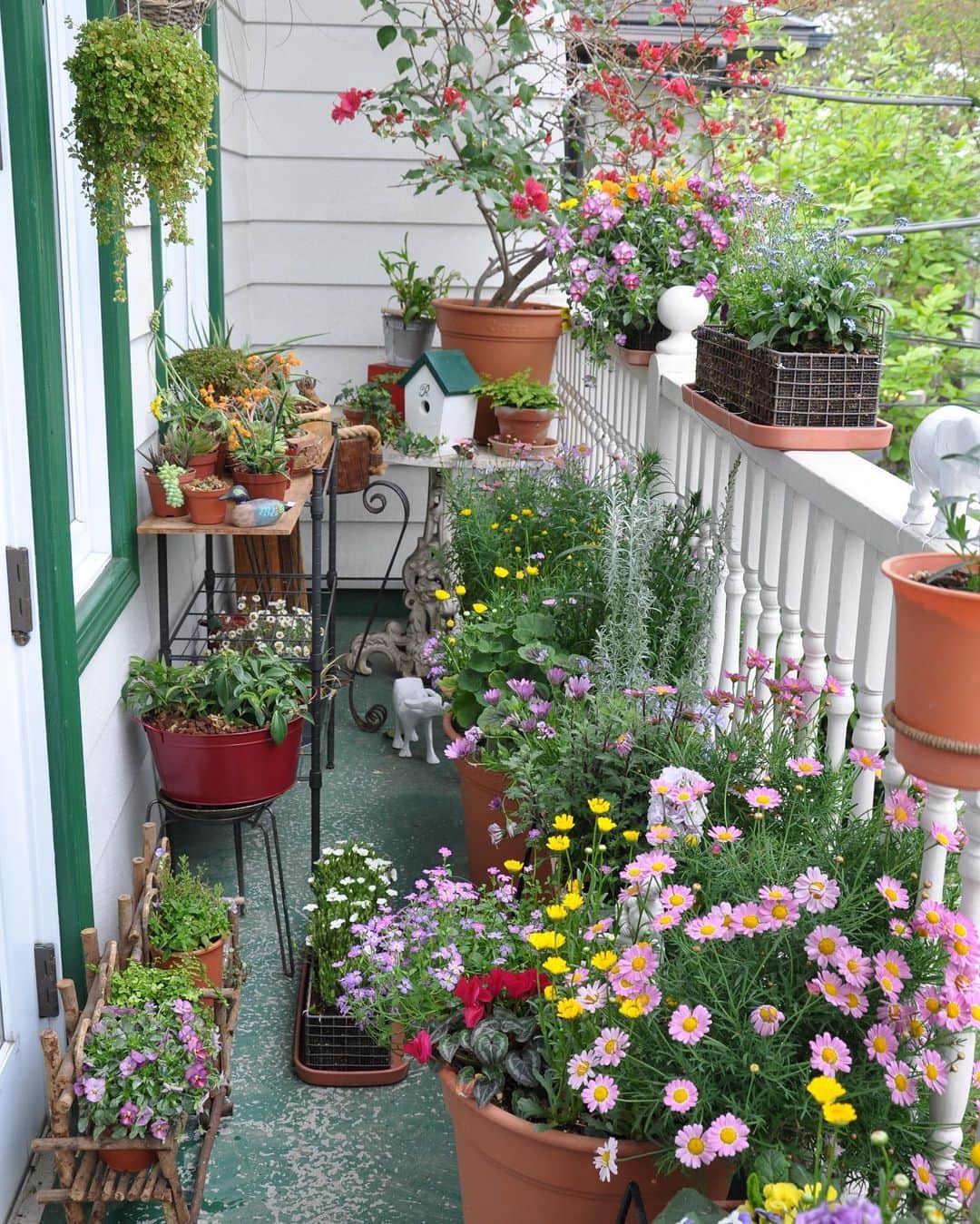 田村翔子さんのインスタグラム写真 - (田村翔子Instagram)「この季節は実家のお庭がとてもきれいです🌸  先日、友人に「あなたの代になったらこのお庭は駐車場になっちゃって、きっと花なんて咲いてないわね。」と言われ、その通りだと思いました💦 母のように花をきれいに咲かせる自信はまったくありません😅  #ガーデニング#花のある暮らし #田村翔子#ライフスタイル#gardening#lifestyle」5月9日 19時51分 - tamura_shoko