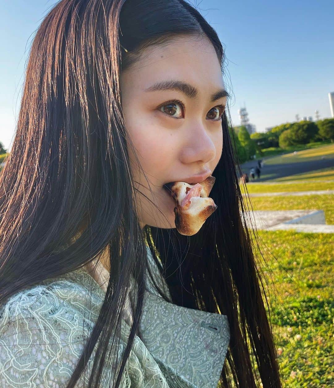 のインスタグラム：「🌳」