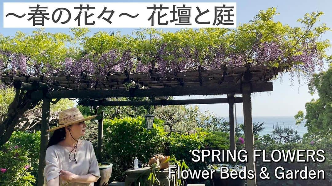 桐島かれんさんのインスタグラム写真 - (桐島かれんInstagram)「YouTube ビデオをアップしました！ DIY花壇の花々、そして、藤棚など庭を彩る花木を紹介しています。  #桐島かれんathome #ガーデニング#花壇#花木#藤棚#庭仕事」5月9日 20時13分 - houseoflotuskaren