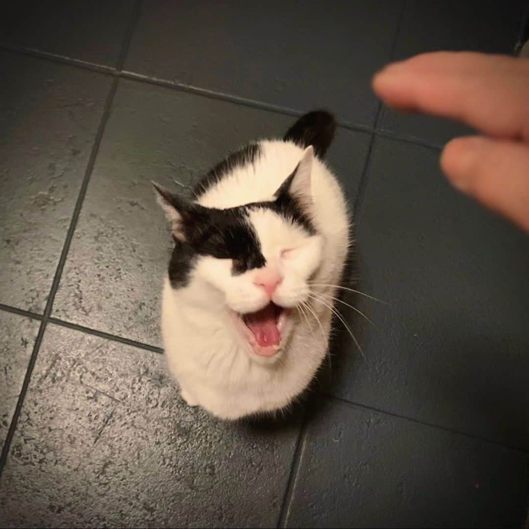 OKAのインスタグラム：「おかえりー」