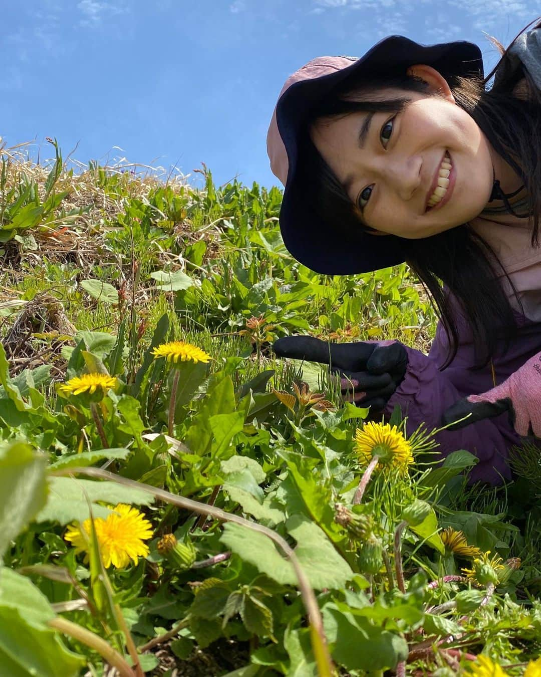 松本亜美さんのインスタグラム写真 - (松本亜美Instagram)「きのうの自然派🌱 摘み草を使った料理にチャレンジしました🍳 今が美味しい山菜をはじめ、普段は心を癒してくれる春のお花も味わうことに！！  たんぽぽを食べるのは初めてでしたが、天ぷらにするとほろ苦さがありました！葉っぱの部分は生で食べると、サラダ菜のようなフレッシュ感が味わえました！  ウドと甘夏の和えものはさっぱりしていました！甘夏のおかげで、ウドの持つ独特の苦味が和らいでいましたよ！  心もお腹もしっかり満たされた自然派でした🌟  #teny #テレビ新潟  #夕方ワイド新潟一番  #自然派 #里山  #山菜 #摘み草 #摘み草料理 #初挑戦  #あらゆるものを食べました  #しっかりと調べてから食べましょう #たんぽぽ #カタクリ #お花も食べた  #アナウンサー  #松本亜美」5月9日 20時36分 - ami_matsumoto_teny