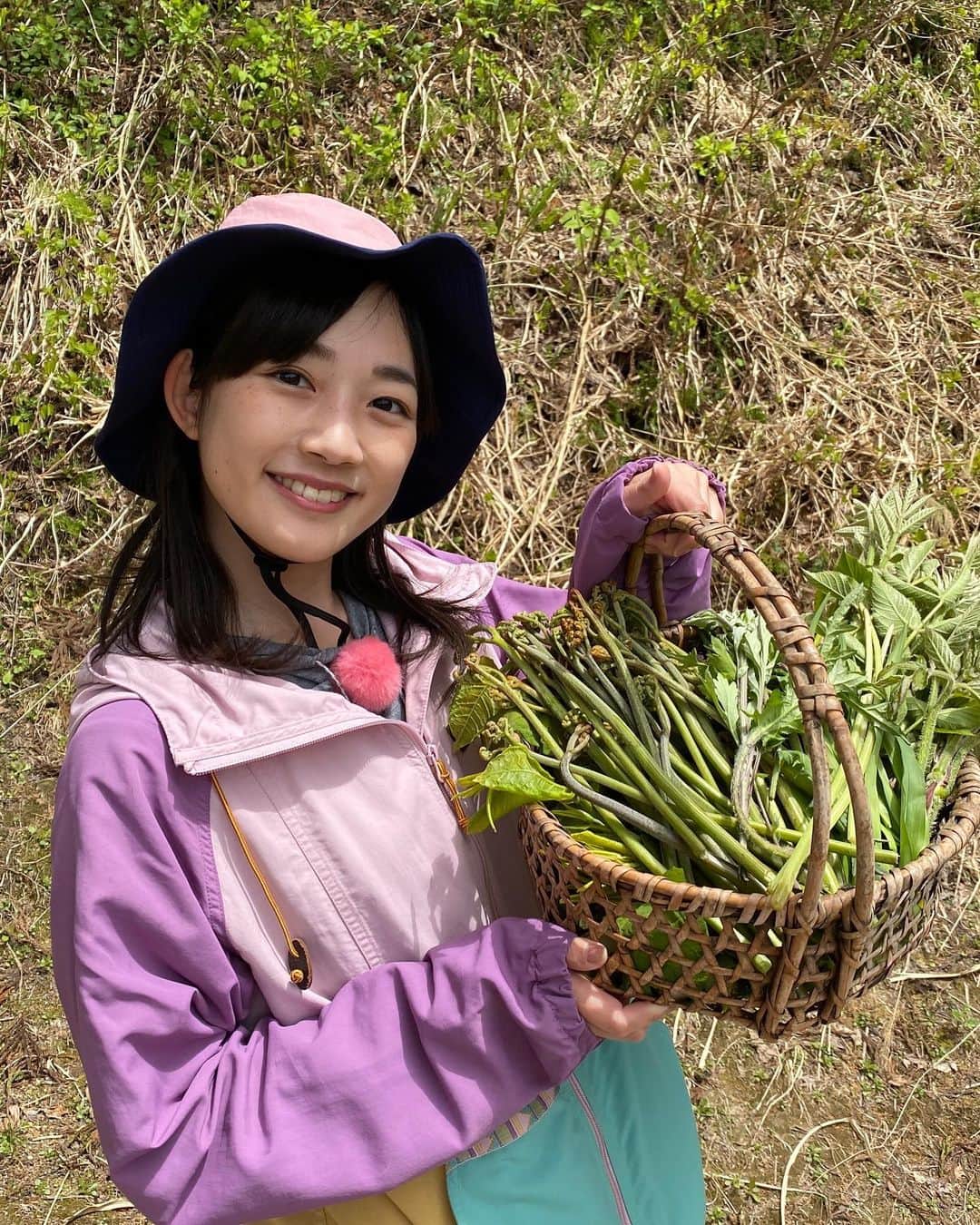 松本亜美さんのインスタグラム写真 - (松本亜美Instagram)「きのうの自然派🌱 摘み草を使った料理にチャレンジしました🍳 今が美味しい山菜をはじめ、普段は心を癒してくれる春のお花も味わうことに！！  たんぽぽを食べるのは初めてでしたが、天ぷらにするとほろ苦さがありました！葉っぱの部分は生で食べると、サラダ菜のようなフレッシュ感が味わえました！  ウドと甘夏の和えものはさっぱりしていました！甘夏のおかげで、ウドの持つ独特の苦味が和らいでいましたよ！  心もお腹もしっかり満たされた自然派でした🌟  #teny #テレビ新潟  #夕方ワイド新潟一番  #自然派 #里山  #山菜 #摘み草 #摘み草料理 #初挑戦  #あらゆるものを食べました  #しっかりと調べてから食べましょう #たんぽぽ #カタクリ #お花も食べた  #アナウンサー  #松本亜美」5月9日 20時36分 - ami_matsumoto_teny