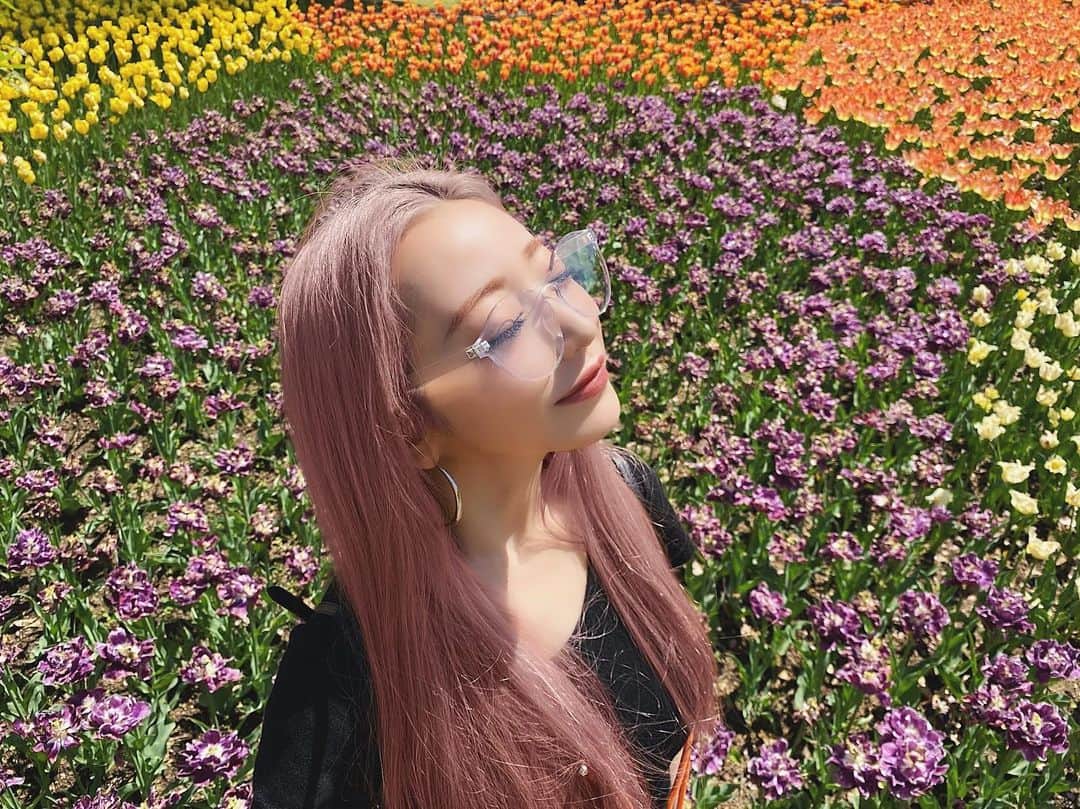 坂本礼美のインスタグラム