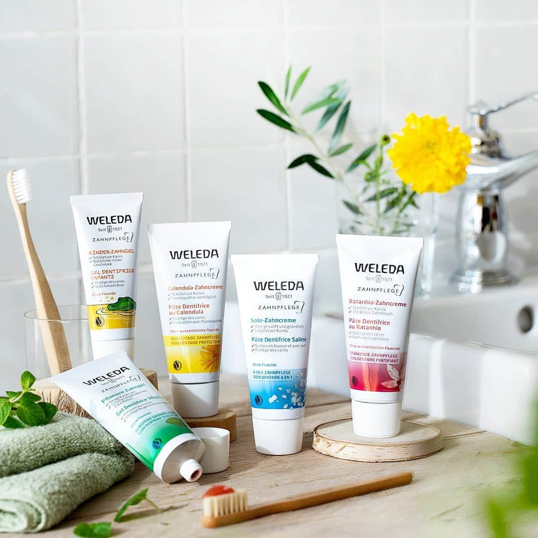 ヴェレダ Weleda Japanのインスタグラム：「【初夏の眩しい日差しを浴びながら口内から爽やか気分】  進学や就職、転勤で春から生活環境が変わった方にとっては やっと新しい生活に慣れ始める時期でしょうか。  朝の時間に少し余裕ができたら、窓を開けて 初夏の眩しい日差しを浴びながら、歯磨きをするのも気持ちいいですよ♡  口内から爽やかににして、いい1日をスタートさせましょう！  ヴェレダの歯磨きは天然由来成分100%。 刺激が少ないため、口に含むことに抵抗なくご使用いただけます。  毎日口にするものだからこそ、人にも環境にもやさしいオーガニックというこだわりを。  そして、ハーブ好きの方にはたまらない♡ ハーブの風味で口の中もスッキリとした爽快感もポイントです。  美しい歯で笑って、ハッピーな日々をお過ごしましょう！  ＼ 塩の爽快感がお好きな方 ／  ◼️はみがきソルト🏝 ￣￣￣￣￣￣￣￣ 天然塩の粒で口内をすっきりケア。 歯石と虫歯予防に。 塩感とミントの爽やかな使用感がすっきりさっぱりとした洗い上がりです。  ＼ デリケートな口内に ／  ◼️はみがきカレンドラ🌼 ￣￣￣￣￣￣￣￣￣￣ ペパーミントフリーで敏感な歯と口内をいたわりながら磨きます。 フェンネルの風味。敏感な歯に。  ＼ 虫歯予防したい方に ／  ◼️はみがきプラント🦷 ￣￣￣￣￣￣￣￣￣ 微細化された天然カルシウム（炭酸Ca）がエナメル質を傷つけずに歯垢を除去して沈着を防ぎます。 口内を保湿するラタニア（クラメリアトリアンドラ根エキス）を配合。  柔らかなスペアミントの風味で息も爽やかに。  ＼ 歯と口内を爽やかに ／  ◼️はみがきハーブ🌿 ￣￣￣￣￣￣￣￣￣ 爽やかなミントの香りで心地よく磨けるジェルタイプ。 デリケートな歯ぐきもやさしくケアします。  ＼ お子様も喜ぶ甘さ ／  ■歯みがき お子さまのデリケートな乳歯をやさしく洗浄し、歯垢を取り除いて虫歯を予防します。 天然ハーブの甘み。  ╭━━━━━━━━━━━━━╮ 　 　　　　どのアイテムが 　　　気になりますか？  ╰━━━━━━ｖ━━━━━━╯  🏝：はみがきソルト 🌼： はみがきカレンドラ 🦷：はみがきプラント 🌿：はみがきハーブ 👶：歯みがき 子供用 ぜひ、絵文字を使って、[コメント]で教えてください！  ---------------------------------------------------  商品についての詳細は @weleda_japan のトップページリンクからご覧いただけます。  もう一度見たい方は、 ぜひ「保存」ボタンを押してくださいね！  #ヴェレダ#WELEDA#weleda#オーガニック#オーガニックコスメ#植物療法#シュタイナー#ホリスティック#organiccosmetics#유기농 #オーガニックオイル#オーガニック好きな人と繋がりたい#オーガニック生活#オーガニックライフ#オーガニックコスメブランド#オーガニック化粧品#ヴェレダ#歯磨き#歯みがき粉#歯磨きデビュー#歯磨き粉マニア#歯周病#歯周病ケア#オーラルケア#はみがき#虫歯#マウスウォッシュ#口臭ケア#口臭予防#口腔ケア」