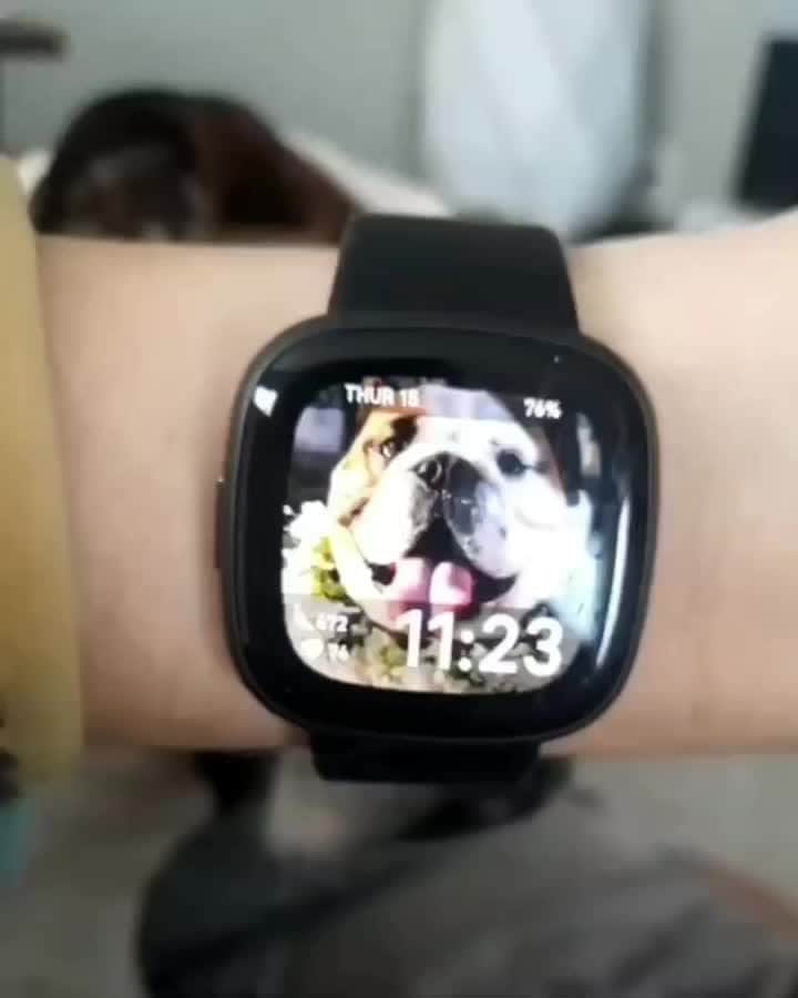 Fitbit Japanのインスタグラム：「文字盤を好きな写真にカスタムすれば、愛犬ともいつも一緒🐶  あんまり眺めすぎて嫉妬されないようにね✨ #Fitbit」