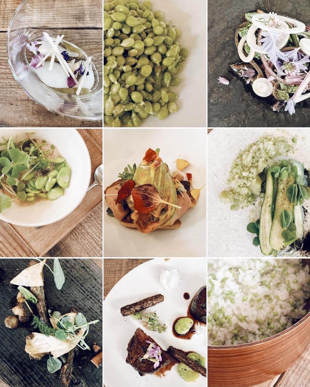 三浦大地さんのインスタグラム写真 - (三浦大地Instagram)「villa aida @villa_aida_wakayama   シェフ @kanjikobayashi さんが自ら育てた野菜達が生き生きと料理に変化し、心も体も満たしてくれる。  真心で美味しいと周波数で感じる。  メニューに込められたメッセージも沁みる。  そりゃASIA’S BEST50 RESTAURANTSに2年連続で選ばれますよな。  優しい時間と料理のレストランでした。  有難う、ごちそうさまでした。  #villaaida #wakayama」5月9日 21時11分 - daichi_1127