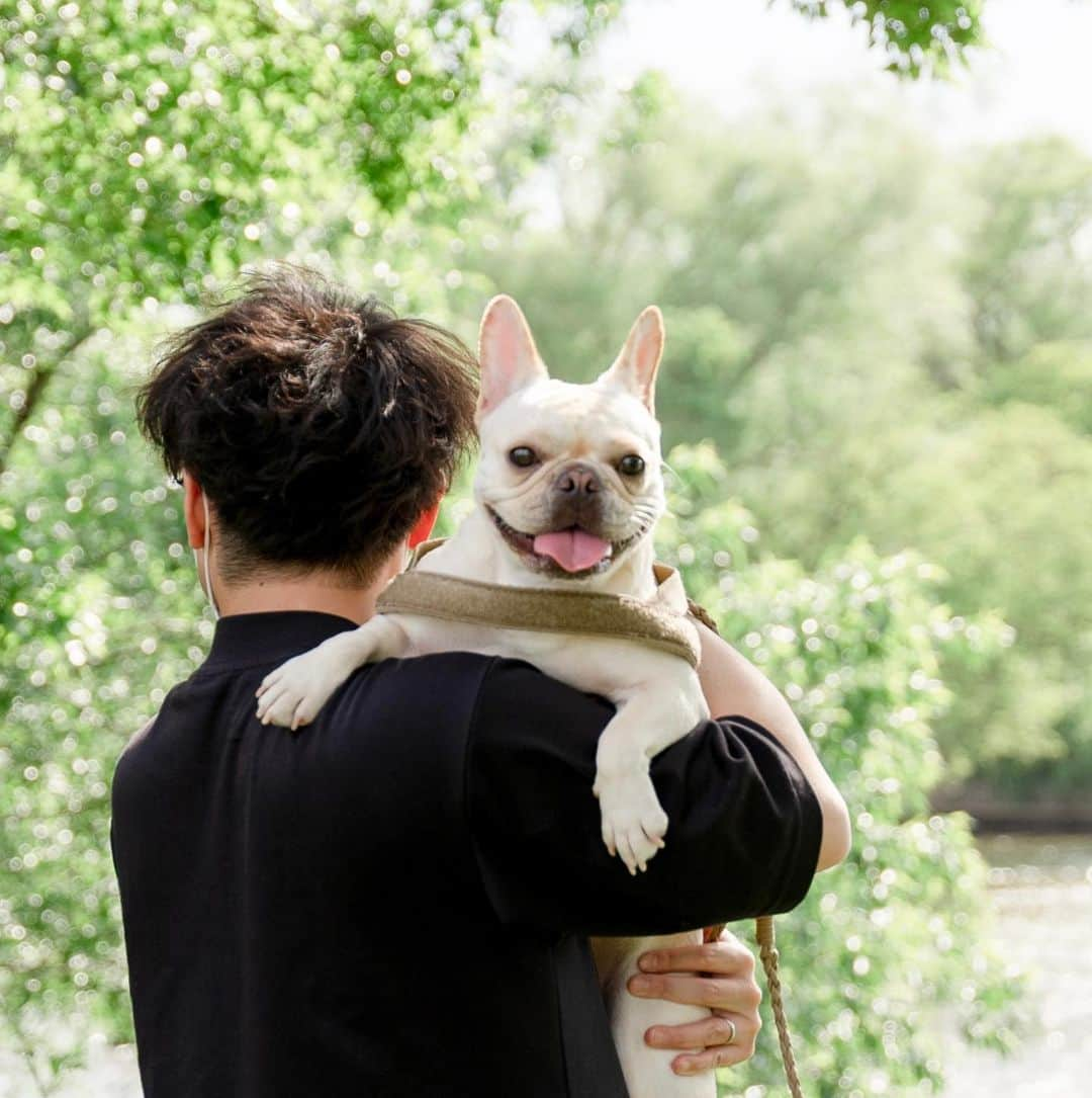 ホームランなみちさんのインスタグラム写真 - (ホームランなみちInstagram)「happy birthday🐾  先日5月7日 おんぷ2歳のお誕生日でした🎂  お誕生日当日は雨予報だったので、前日に公園にお散歩に🐾 暑くてヘコヘコでしたが、楽しくてスキップしながら遊んでました笑 年々マイペースでわがままガールに仕上がってるぷーちゃん❁ これからもずっとよろしくね♡  娘の写真も撮りました👶 まだおんぷより小さいね🥹✨  #フレンチブルドッグ #誕生日 #🎂 #🐶  #フレンチブルドッグのいる生活  #フレンチブルドッグクリーム  #ドッグフォト  #ドッグフォトグラファーズ」5月9日 21時12分 - nami_onpu_uta