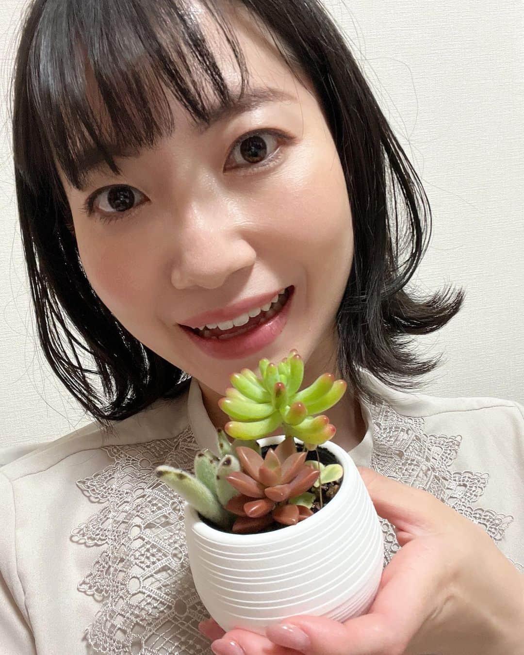 菅原智郁のインスタグラム：「きのう #薬師祭植木市 の取材をしていたところ、造園業組合連合会の会長さんから、多肉植物をプレゼントされました☺️🌵 そういえば、コロナ禍前にも大きな植木をプレゼントされたような……(泣く泣く一戸建て住みの方にあげましたが) ありがたい限りです😂✨️ . .  植木市は、何回も取材や中継でお邪魔しているので、 思い入れのあるイベントの1つ。 最初は正直「植木市って何…？」と思っていましたが、 植木屋さんにとっても、出店の方にとっても、 お客さんにとっても、大事なイベントなんだということがわかります。 今年は4年振りの通常開催！ 通りににぎわいが戻っていました！ あす午後8時半までやっていますー！ 通行規制などお気をつけください☺️ . . #山形 #山形市 #植木市 #祭り #多肉植物 #山形テレビ #アナウンサー #キャスター #菅原智郁」
