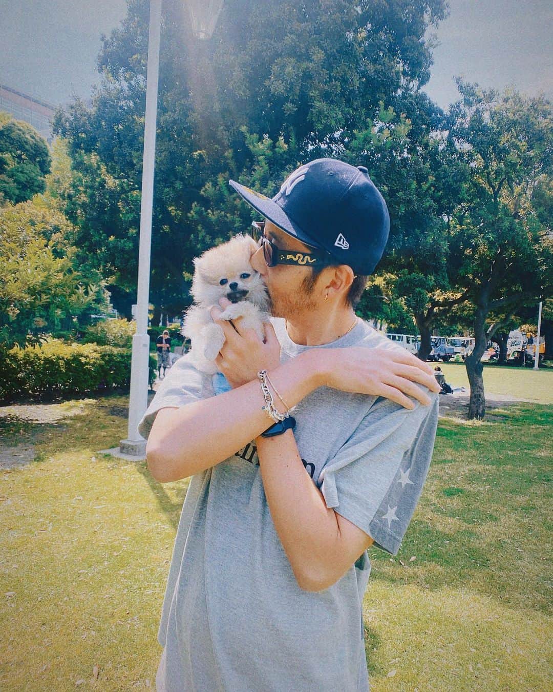 柴田翔平のインスタグラム：「初めましてフグ🐡です。 この子はうちに来た時に既にウイルスにかかってしまっていて食欲がなく低血糖で一時は大変な事に。。。 そこからは親犬レベルで24時間体制でほぼ寝ないで育ててきました。 今では元気過ぎて先住犬は困ってるレベル😂 全ては @diara_yokohama.motomachi の馬肉のお陰。 人間も犬も本来の食事を摂るのが大切🫡 改めて犬と人間の関係を考えさせられました👴🏽 #犬のいる暮らし」