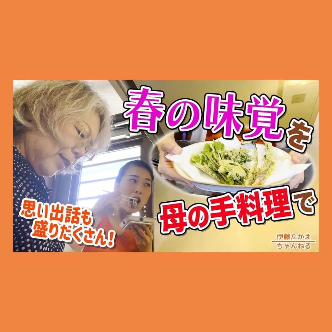 伊藤孝恵さんのインスタグラム写真 - (伊藤孝恵Instagram)「岐阜県下呂市の母の実家裏山で採れた春の山菜を天ぷらにして食べました。 毎日バタバタで、季節を感じる余裕などなかった昨今でしたが、春の味覚は幼き日の思い出の引き出しまで開けてくれたのでした。今日の #伊藤たかえちゃんねる は⤵︎  母の手料理🎏思い出の春の味  youtu.be/-3ybr9LJnsU -----------------------------  #youtube #春 #母の味 # #下呂市 #山菜 #天ぷら #手料理 #うど #コシアブラ #懐かしい #思い出 #美味しい #実家 #わらび #香り#食 #季節 #チャンネル登録 #高評価 #グッドボタン #お願いします #参議院議員 #愛知県 #2児の母 #子育て #女の子ママ #伊藤孝恵 #伊藤たかえ」5月9日 22時04分 - itotakae