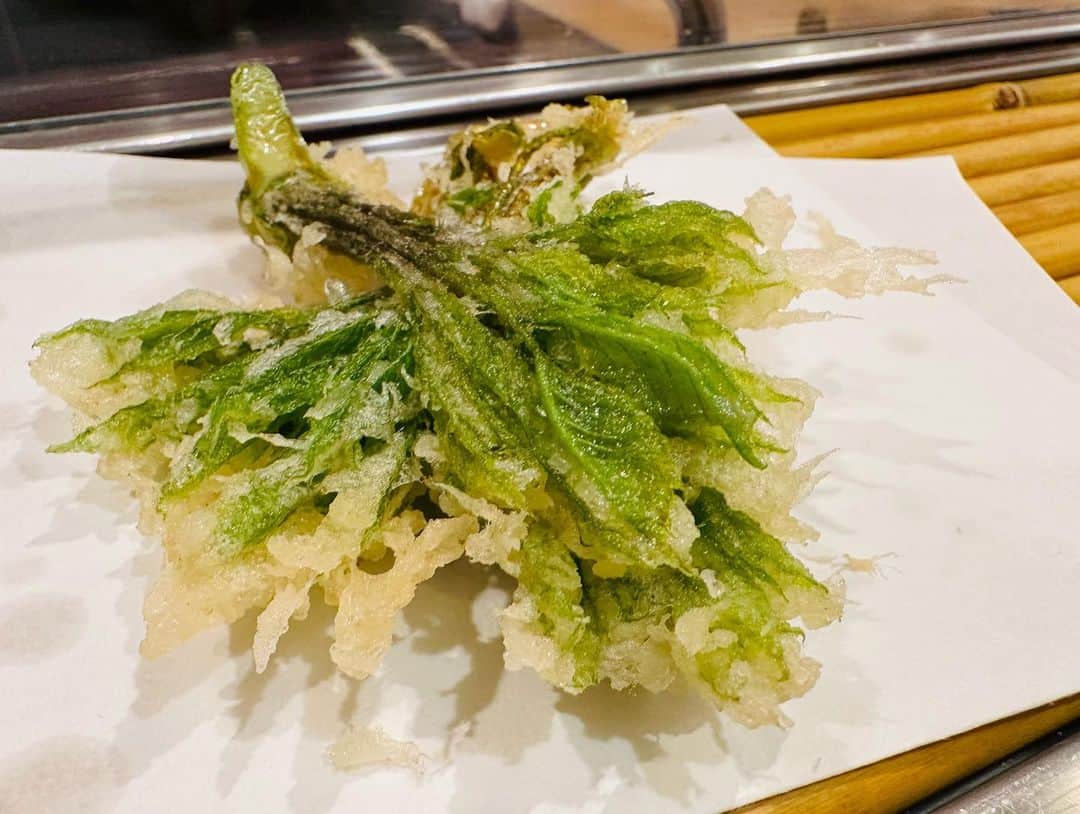 菊田早苗さんのインスタグラム写真 - (菊田早苗Instagram)「昨日は、長年スポンサーとして付いて頂き、以来ずっとお付き合いのあるイングラムさんへご挨拶。29歳、半年で二つのタイトルを取った頃です。 自分のみならず、グラバカもずっと応援してくれていました。当時の加藤社長との不思議な出会いは、なかなかあり得ないものだったので、感慨深い。自分の人生は良くも悪くも、あり得ないものの連発でしたが。人との出会いに関しては、本当にいい意味で有り得ないくらい恵まれました。そして長い。 　 夜は浅草の老舗天ぷら屋さん。先日、二期目が決まった、長年の戦友 マッハ桜井議員も合流し、この時期しか食べれない、究極の山菜を。よく考えると、天然の山菜も、天ぷらもこのお店でしか食べてない気がする贅沢な自分😀 今回も最高^ ^ 加藤社長、ありがとうございました。マッハ議員、二期目おめでとうございました。また三人で会いましょう。  #天然の山菜 #稚鮎 #こしあぶら #活車海老 #縁」5月9日 22時01分 - sanae.kikuta
