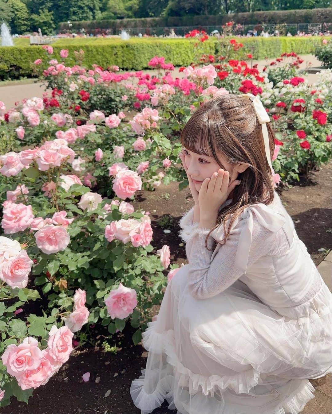 坂本夏海さんのインスタグラム写真 - (坂本夏海Instagram)「💐🤍  こんなに可愛くて綺麗なお花が存在している地球 💭 ロマンチックすぎる 、、、  それぞれ名前があるのがたまらなく愛おしいね🌹♡   #バラ #バラ園 #薔薇」5月9日 22時16分 - _nami_sakamoto